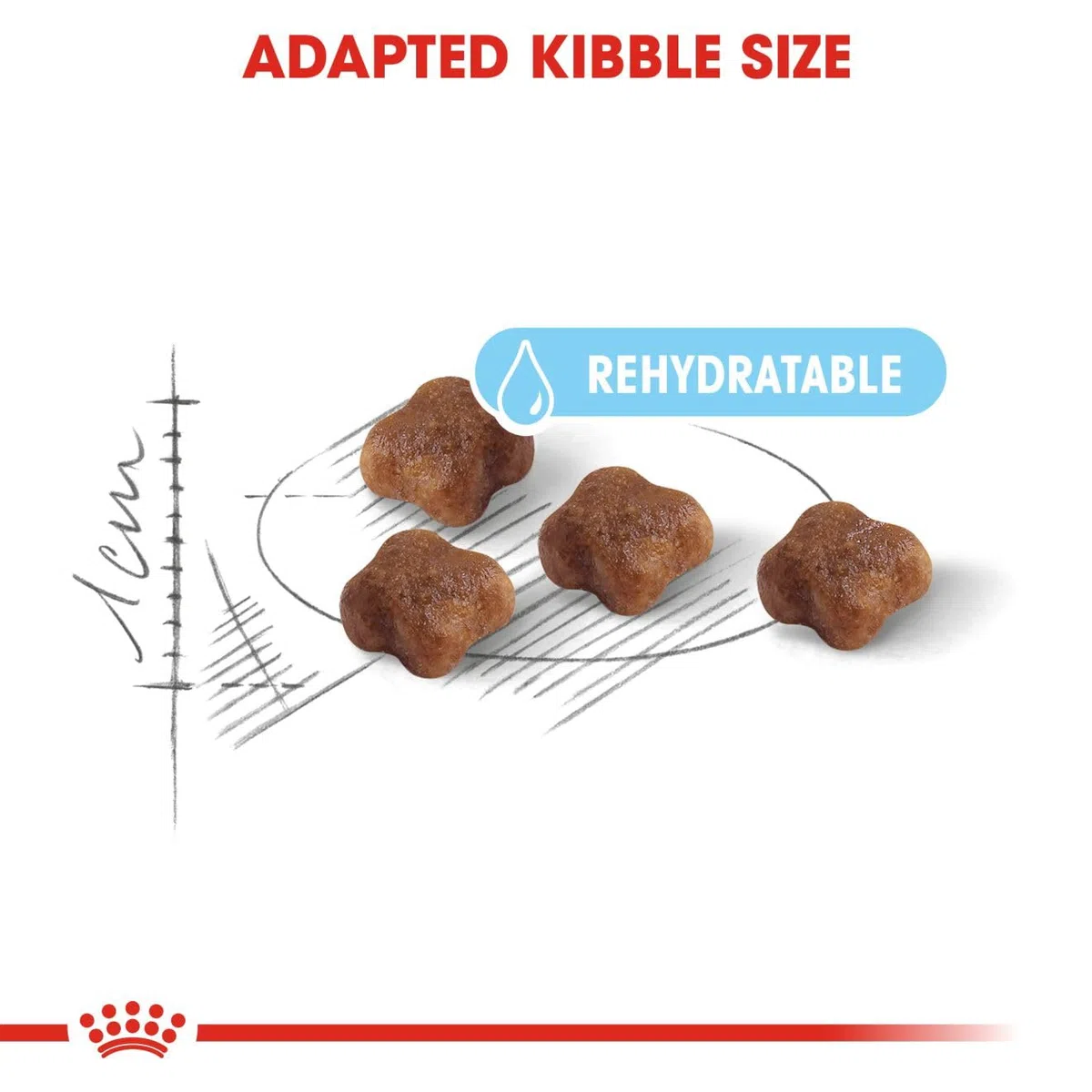Royal Canin Comida para gatos Babycat 2 Kg