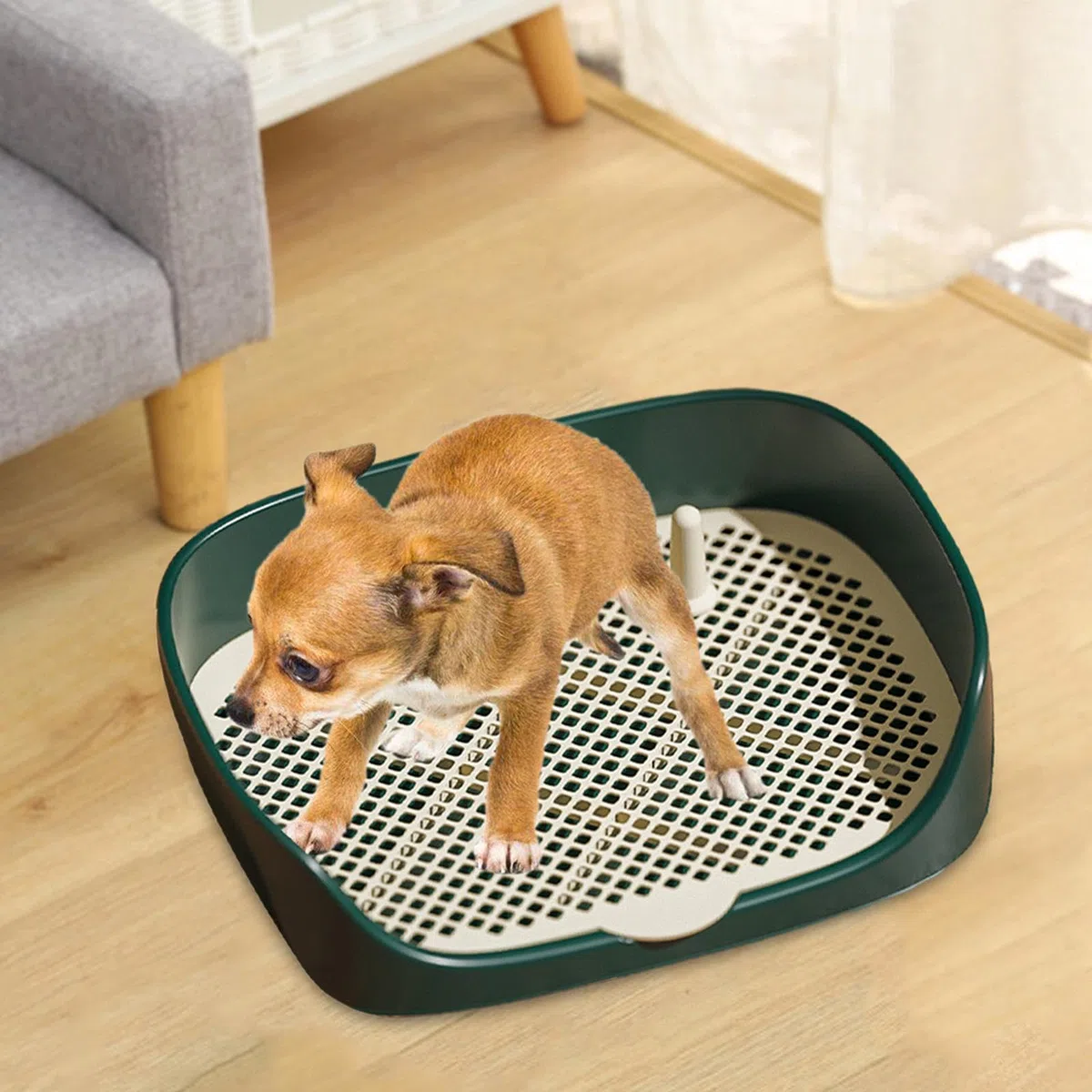Bandeja de Entrenamiento para Orinal para Cachorros, Inodoro para Perros, Mantiene Las Patas Secas Y Los Pisos Limpios, Caja de Arena, Rincón de Entre, Verde l
