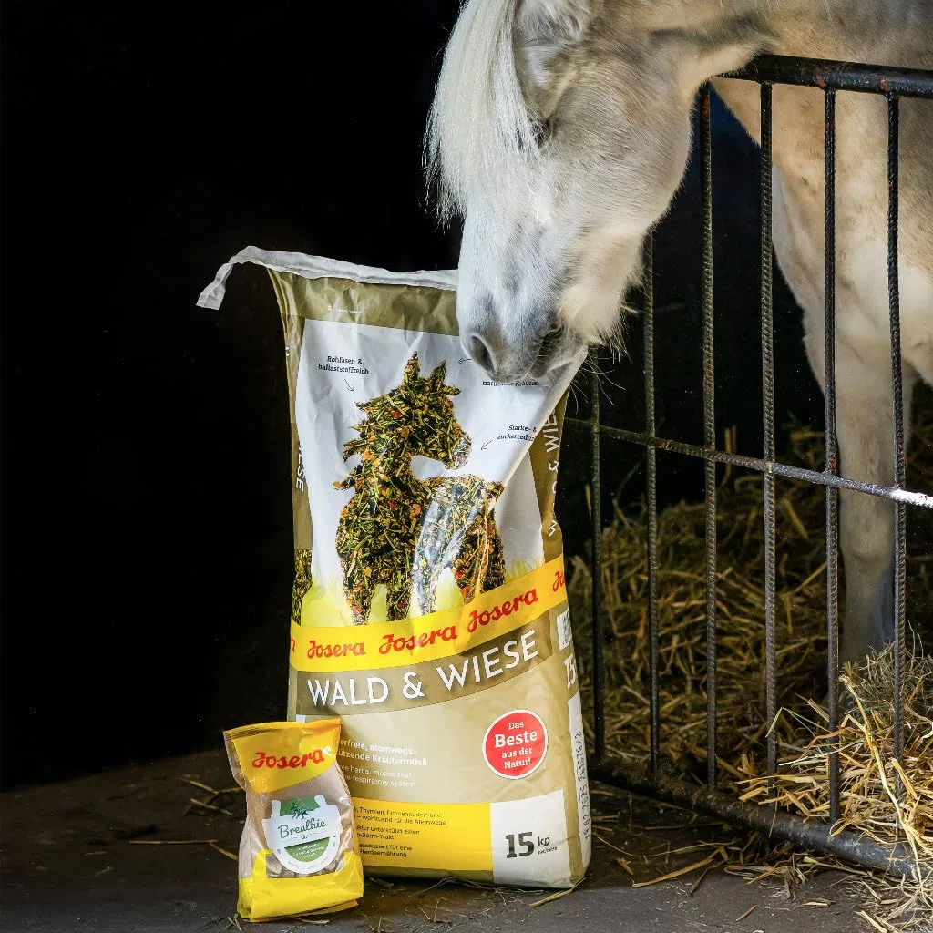 Josera Forest & Wiese, 1 x 15 kg, Comida para Caballos Premium: el Cereal de Hierbas Que Ayuda a Respirar, sin Avena, Reduce el almidón y el azúcar, 1 Unidad