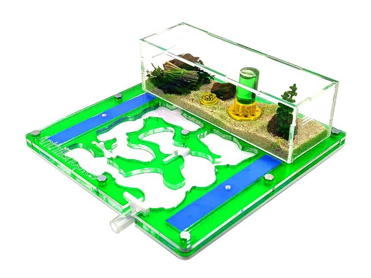 Hormiguero 20 x 20 Espuma acrílico Verde (con Hormigas Gratis, de 20 a 30 obreras).