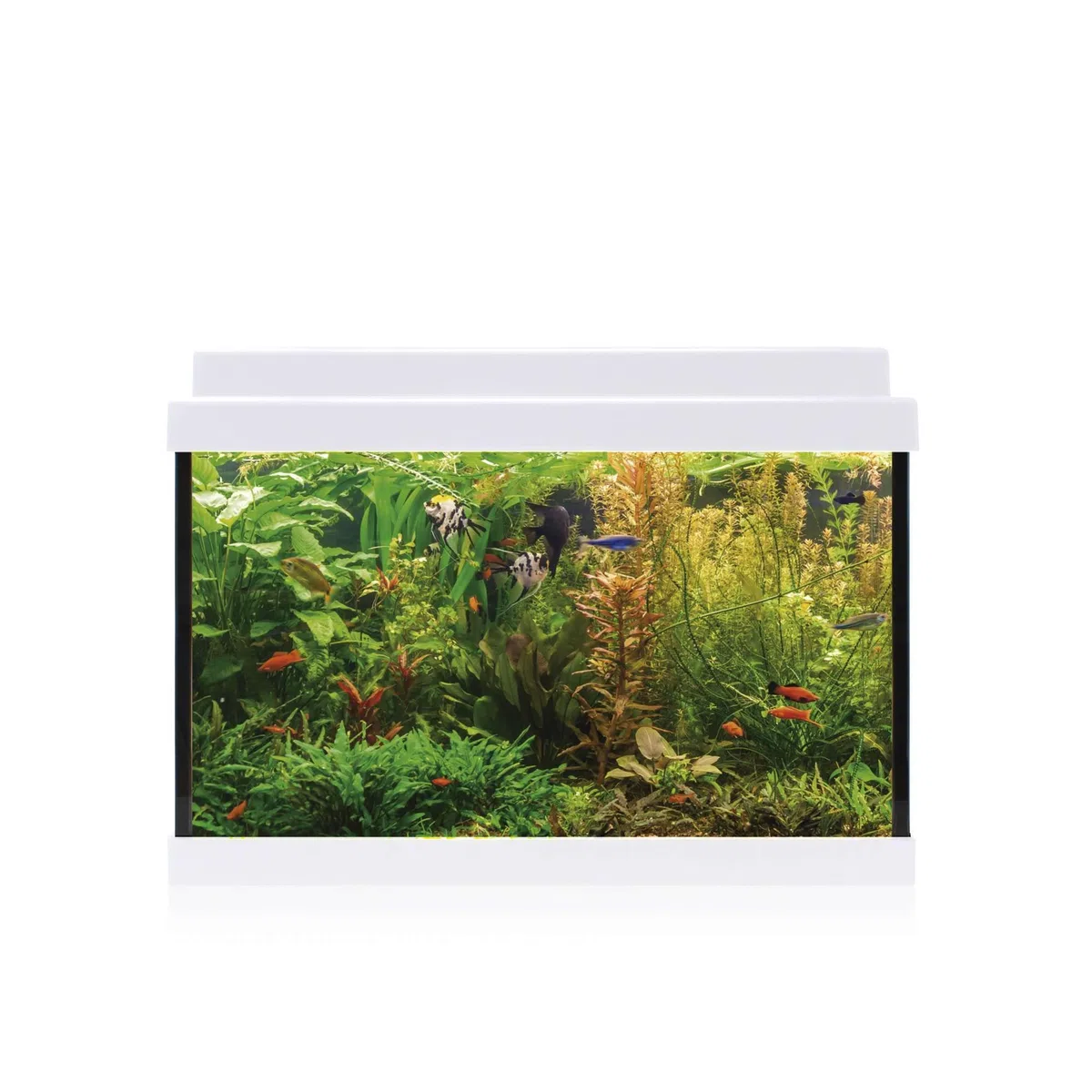 ICA Kit interior Aqualed 20 White, 20 L, 40,7 x 29,2 x 20,2 cm