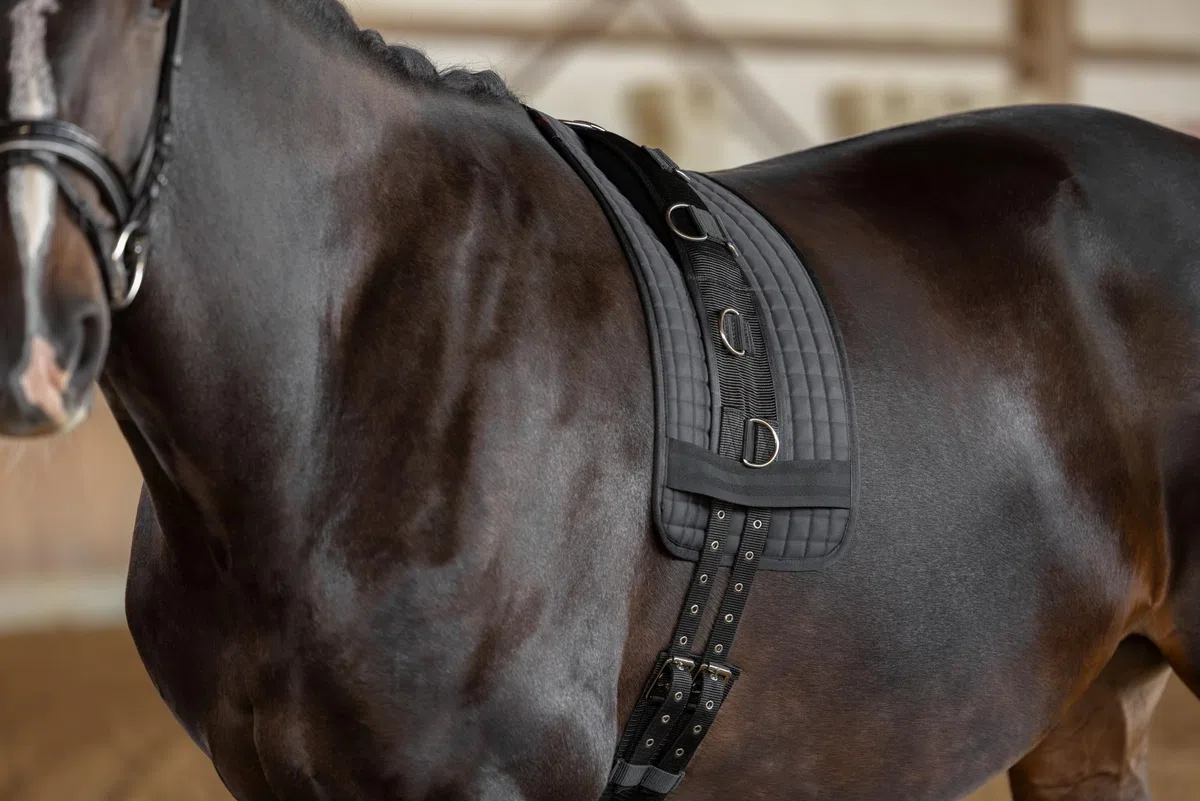 KERBL Cinchuelo para Dar Cuerda de Nailon, 9 Anillos Poni, cincha Regulable