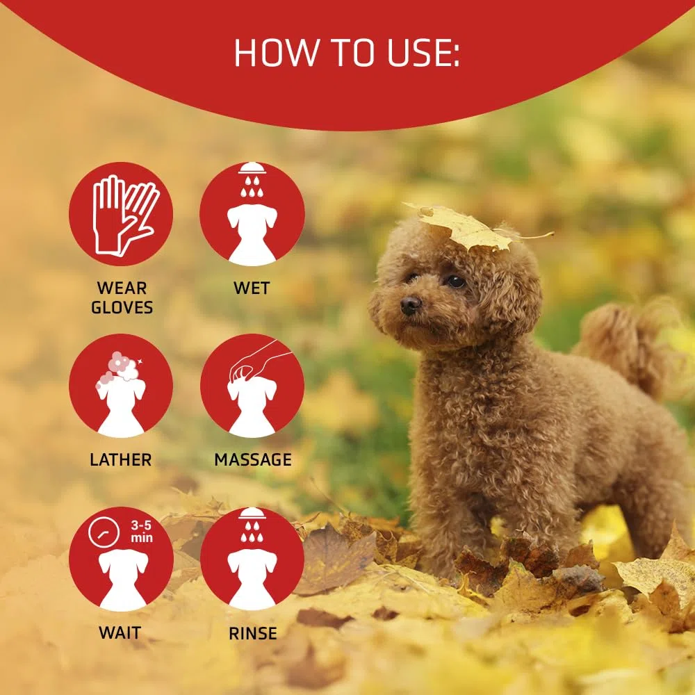 Artero Scarlet. Champú para Perros Intensificador del Color Natural para Pelajes Rojos, Marrones y Chocolate – Brillo Duradero, Hidratación Profunda y Fórmula Suave – con Pigmentos F– 650 ml