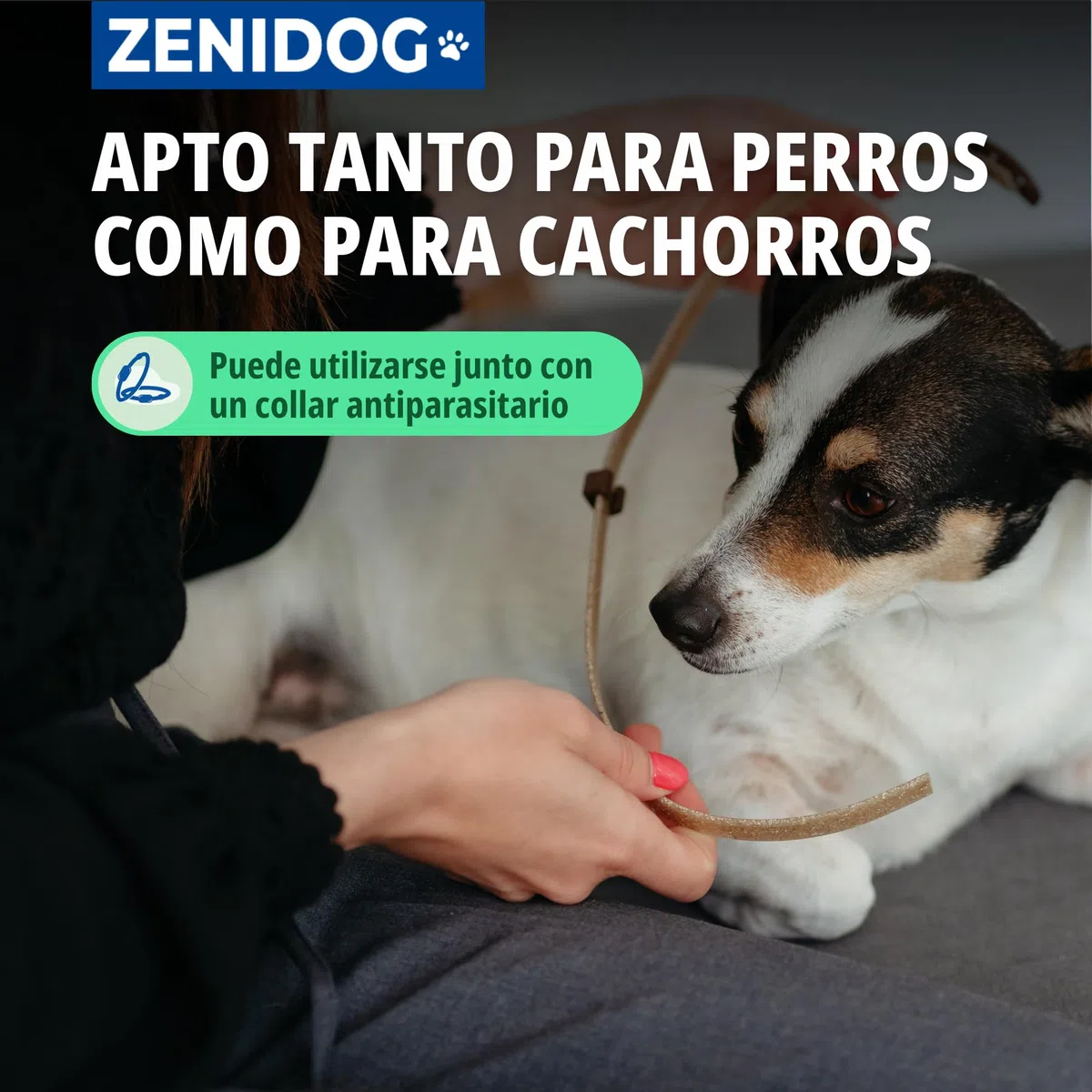 Virbac Zenidog Collar Calmante Perros Pequeños y Cachorros - Antiestrés con Feromonas - Dura 3 Meses - Talla S - 39cm