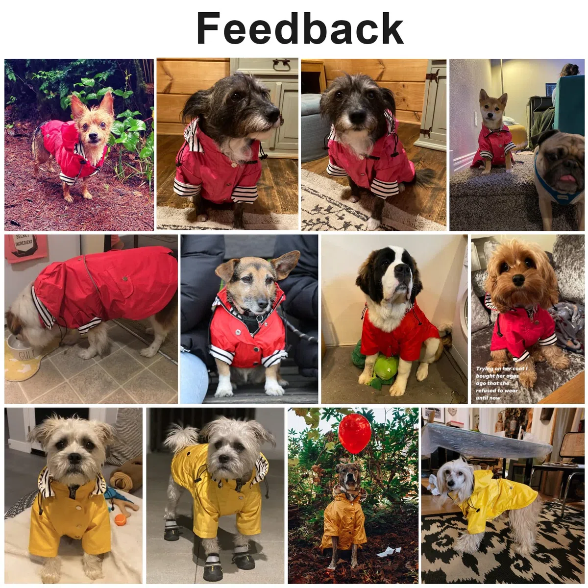Pethiy- Elegante Chubasquero para Perro,Impermeable Abrigo con Botones Reflectantes y Bolsillos, Resistente a la Lluvia/al Agua,con Capucha extraíble, para pequeños y medianos Perros-Amarillo-M