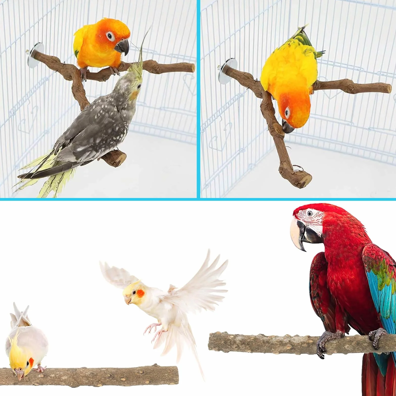 9 Pz Perchas para Pájaros, Perchas Naturales de Madera para Pájaros, para Cacatúas, Periquitos y Pinzones