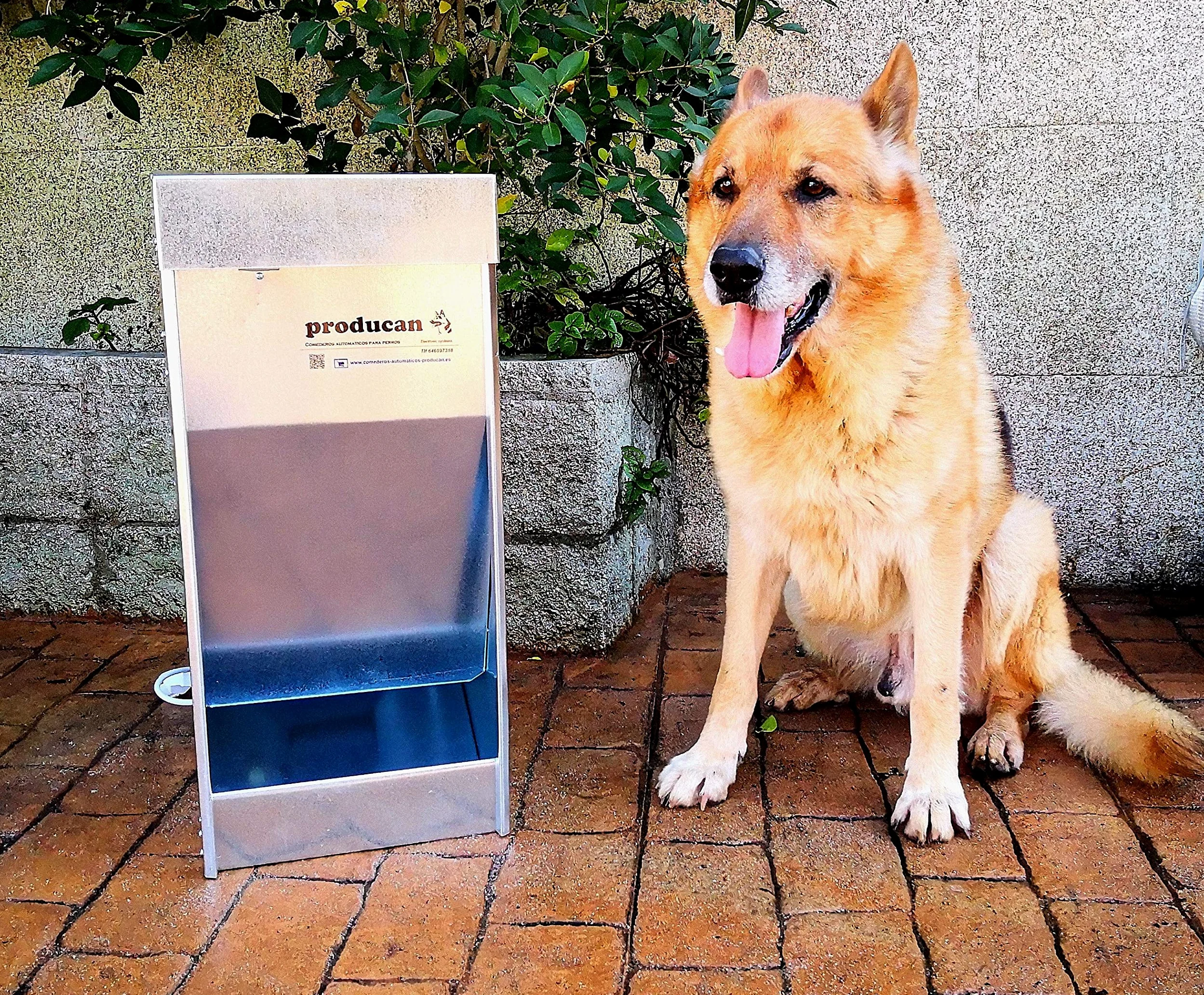 Comedero Automático Inteligente para Perros: Programable, 40 litros, Exterior Dispensador de Comida Profesional para Perros: Programable, Modelo P1