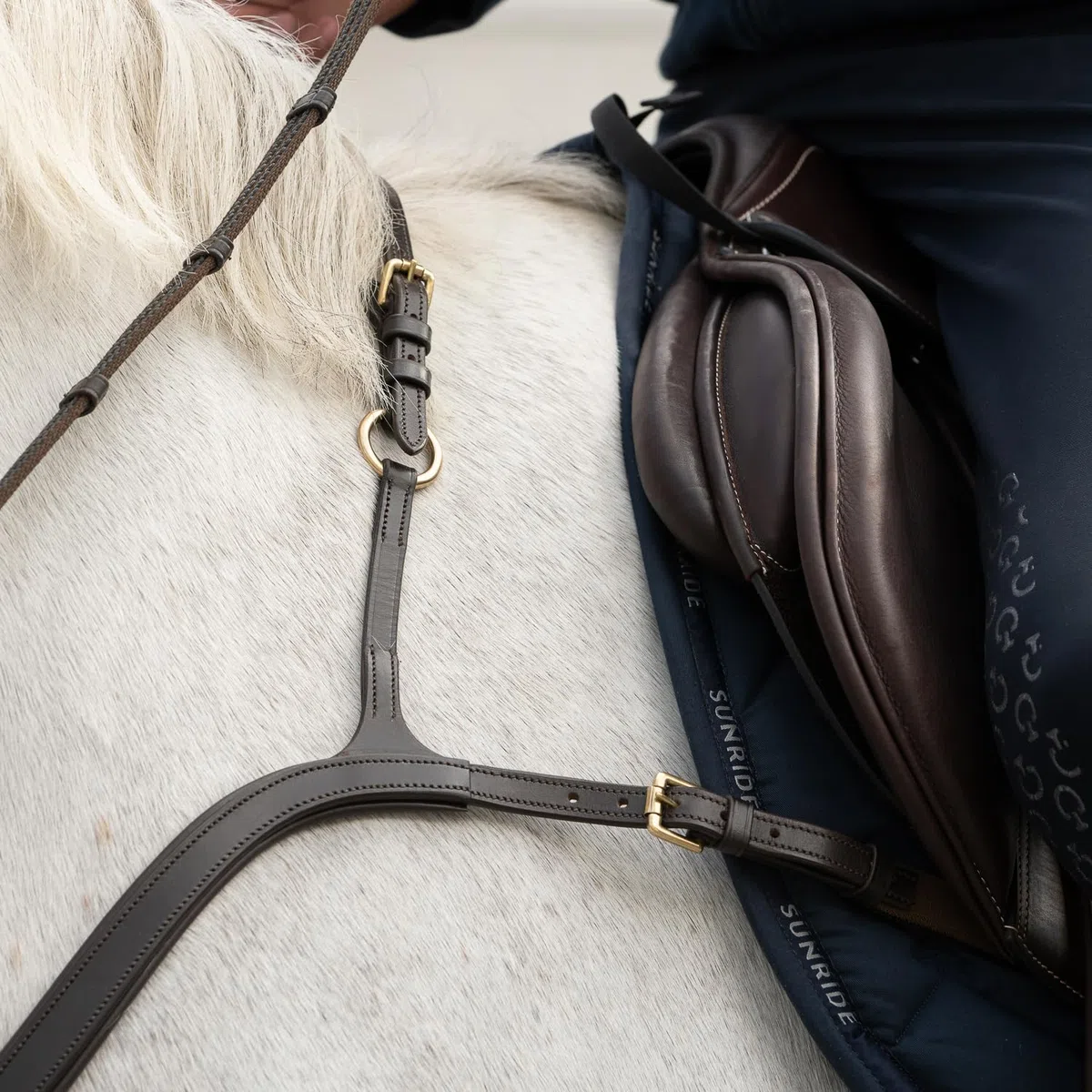 SUNRIDE Pechopetral Ascotde Cuero Genuino con martingala, para Caballos, utilizable como arnés de 5 Puntos y 3 Puntos (COB, marrón)