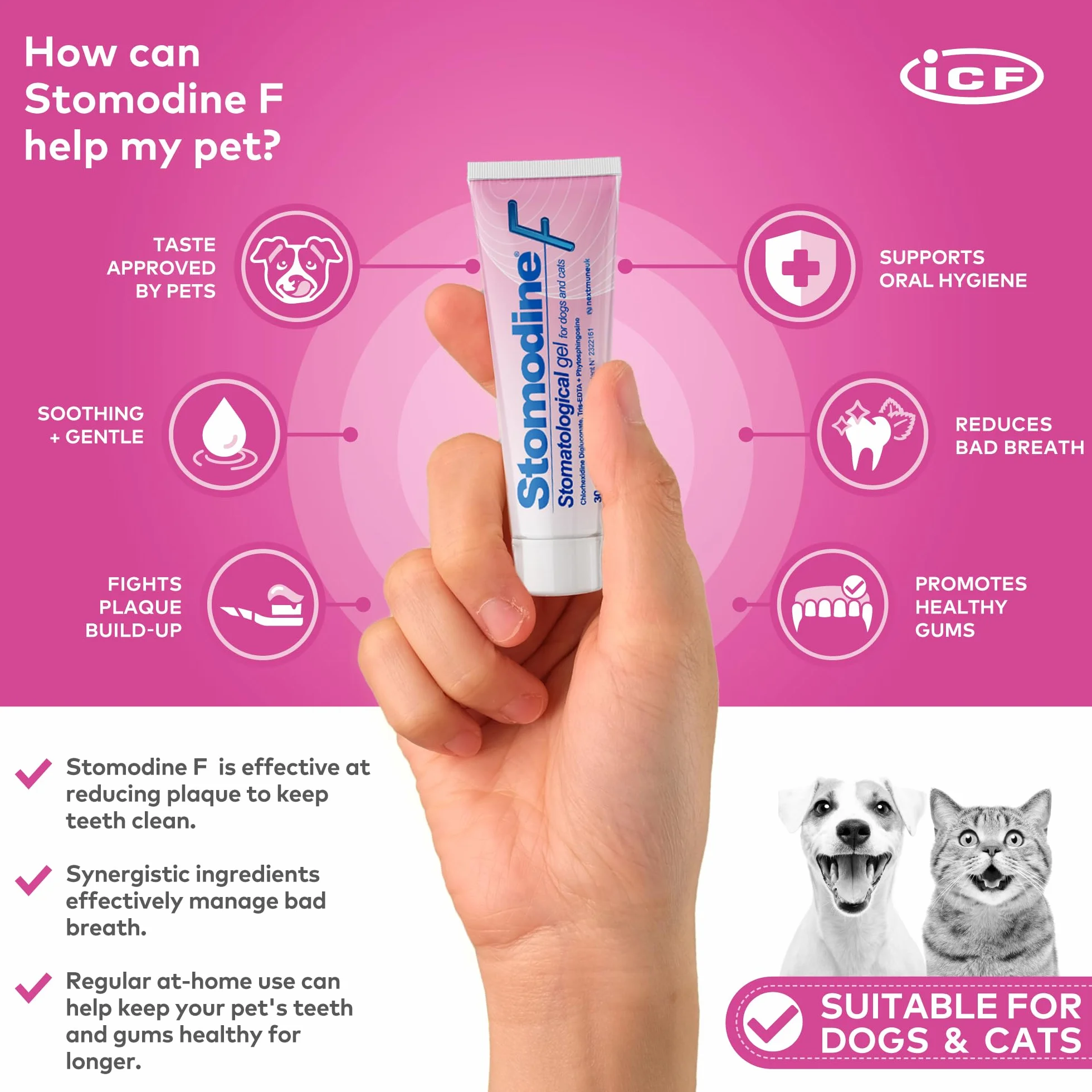 ICF Stomodine F | Pasta de dientes para gatos y perros | Sabor de carne | Combate la placa y el mal aliento | Higiene bucal dental saludable | Limpiador de dientes fácil de usar para mascotas