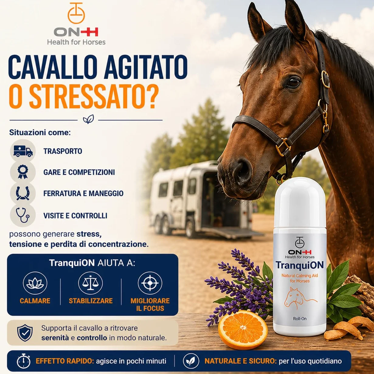 ON-H TranquiON Roll-On para Caballos | Gel Calmante Natural | Aplicación Localizada con Roll-On | Ideal antes de Transporte, Competición y Entrenamiento | Calmante sin Sedación | Uso Diario