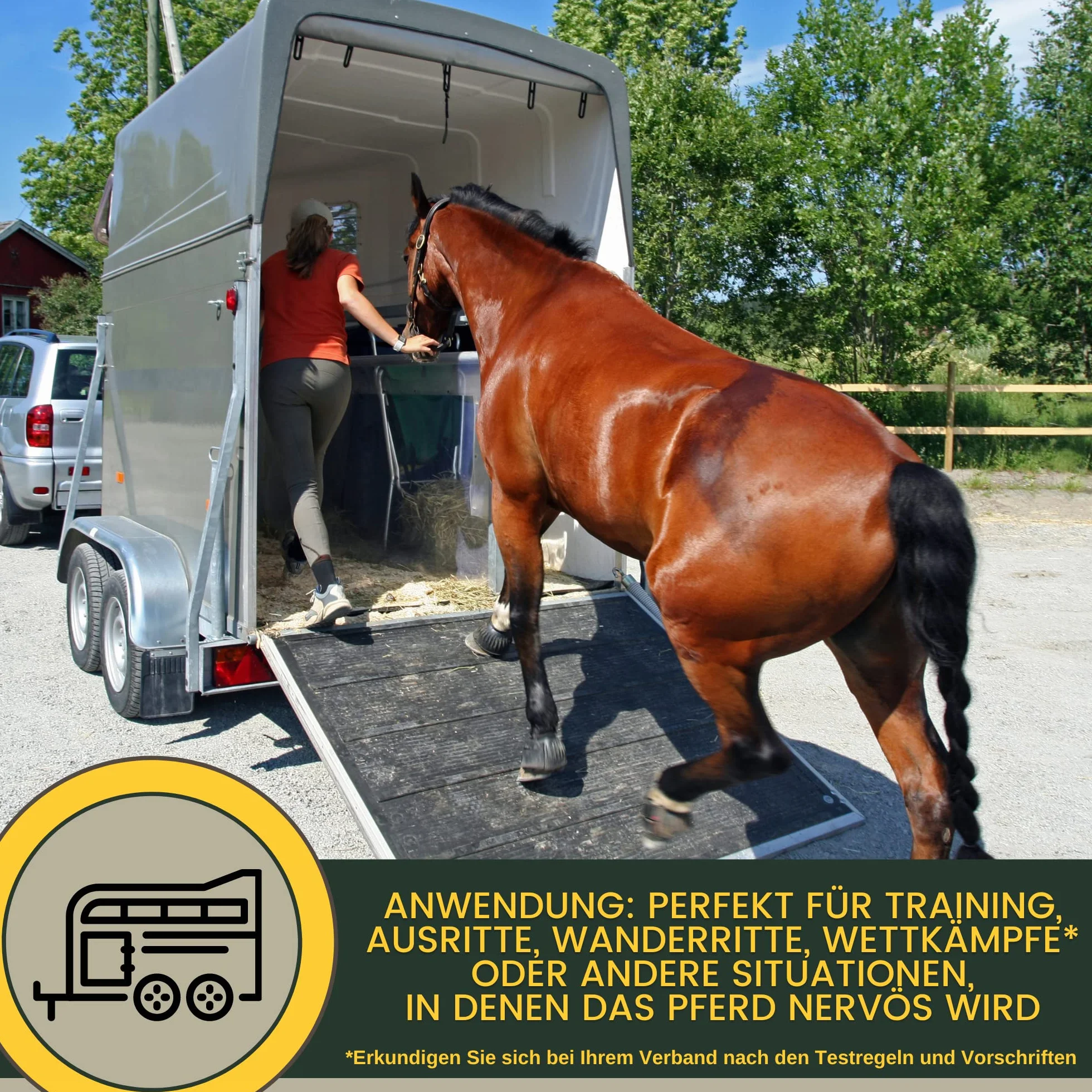 Magnesio Caballo 3 * 30ml Pasta Calmante para Caballos I Refuerzo Calmante Antiestrés I L-Triptófano I para el Transporte de la Ansiedad I Pasta de Magnesio Serenidad Caballo Nervioso Alta Dosis