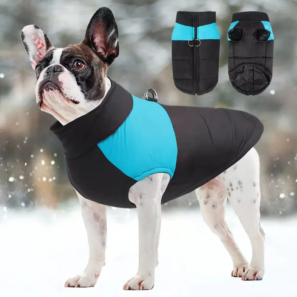 FEimaX Abrigo para Perro Impermeable Chaqueta Cálido de Invierno y Otoño, Ropa de Algodón para Perros Pequeños Medianos y Grandes Mascotas Chaleco de Cachorro y Gato para Clima Frio