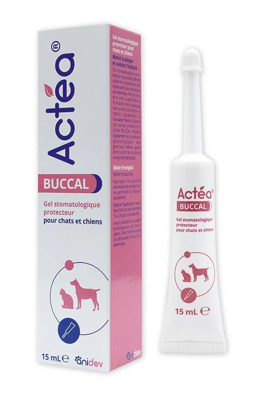 Anidev Actéa Buccal – Gel calmante de encías para perros y gatos – Higiene bucal dental – Límite de placa sarro y mal aliento – Efecto calmante reparador y protector 15 ml