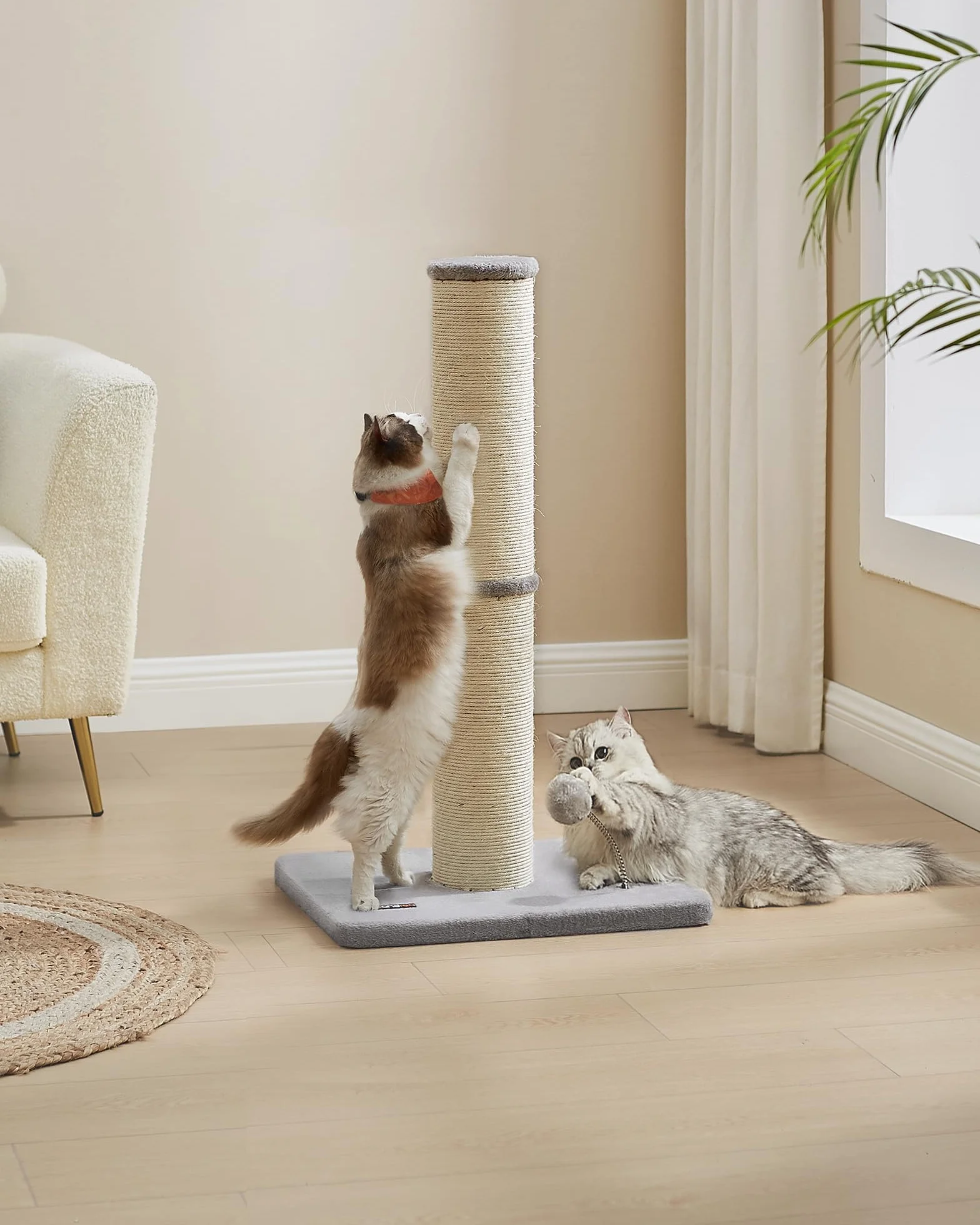 Feandrea Poste Rascador para Gatos, 85 cm de Alto, Gatos Medianos y Grandes, Poste Rascador de Sisal, Pompón de Muelle con Campana, Gris Paloma PCA041G01