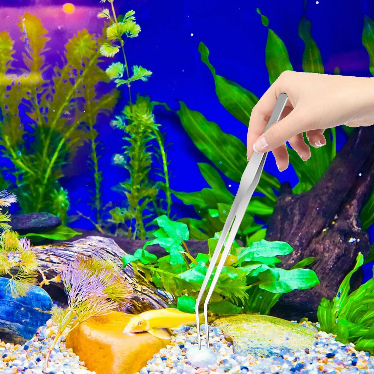 RYAN Accesorios Acuario 4 en 1 de Acero Inoxidable para Acuario Aquarium Aquascaping Kit Pinzas Tijera espátula Juego de Herramientas para Peces y Plantas Acuáticas
