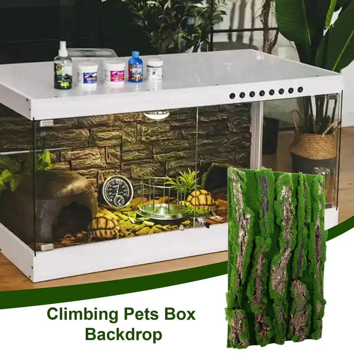 Antecedentes de Corcho para Terrario - Decoración de viviendas de Reptiles | Fondo de Corteza con Espuma Artificial, Accesorio Natural para, Serpiente, camaleón, Gecko, dragón Barbudo y anfibi