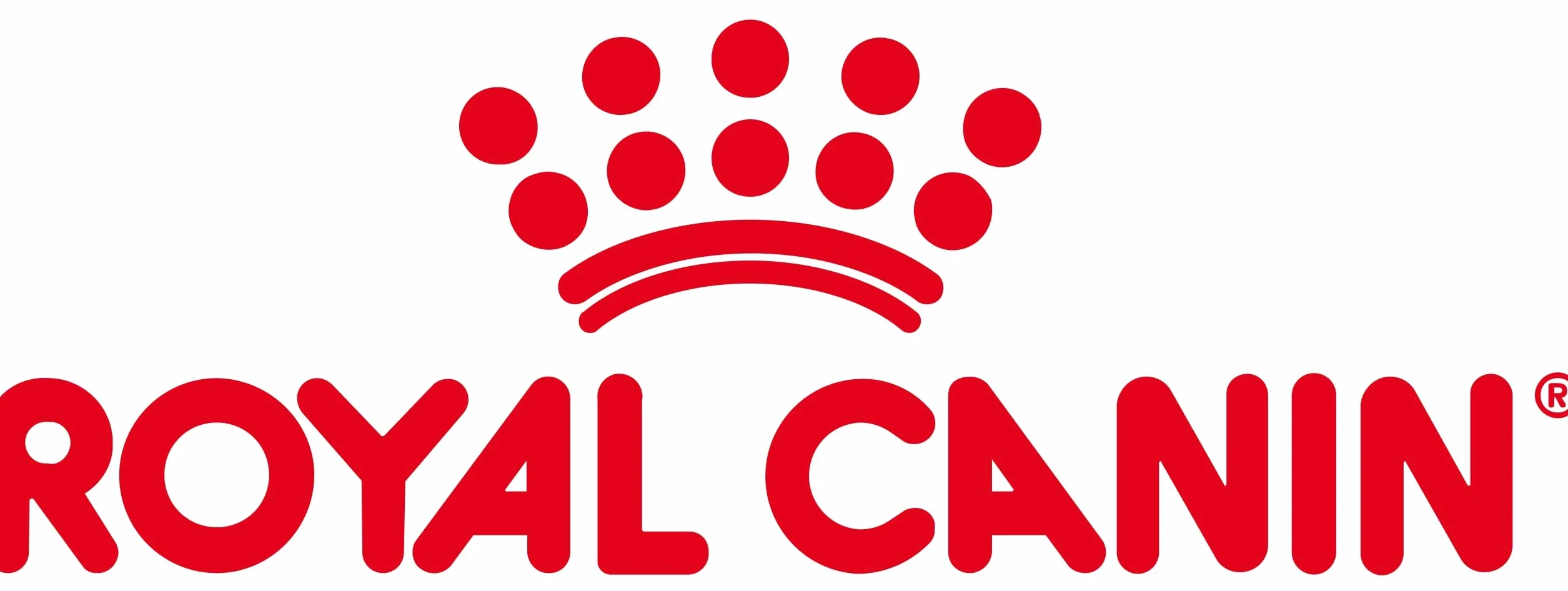 Royal Canin Hairball Care Jelly | Paquete de 4 | 4 x 12 x 85 g | Alimento Completo para Gatos (trozos Finos en gelatina) | Puede Ayudar a Reducir la formación de Bolas de Pelo