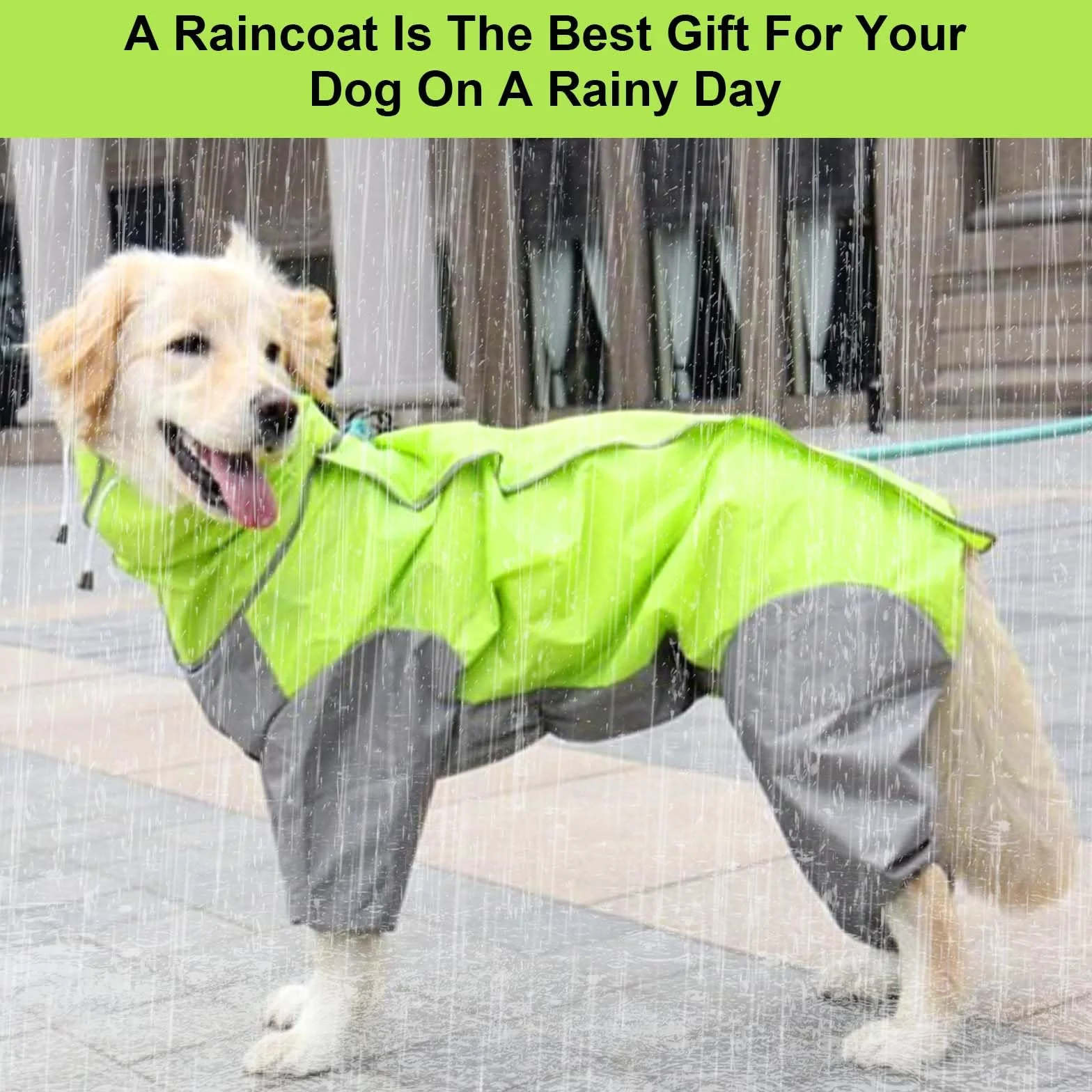 Impermeable para Perros con Capucha, Chubasquero Ligero para Medianas y Grandes, Mascota Impermeables Andar Excursión Acampada Deambular - Verde (28)