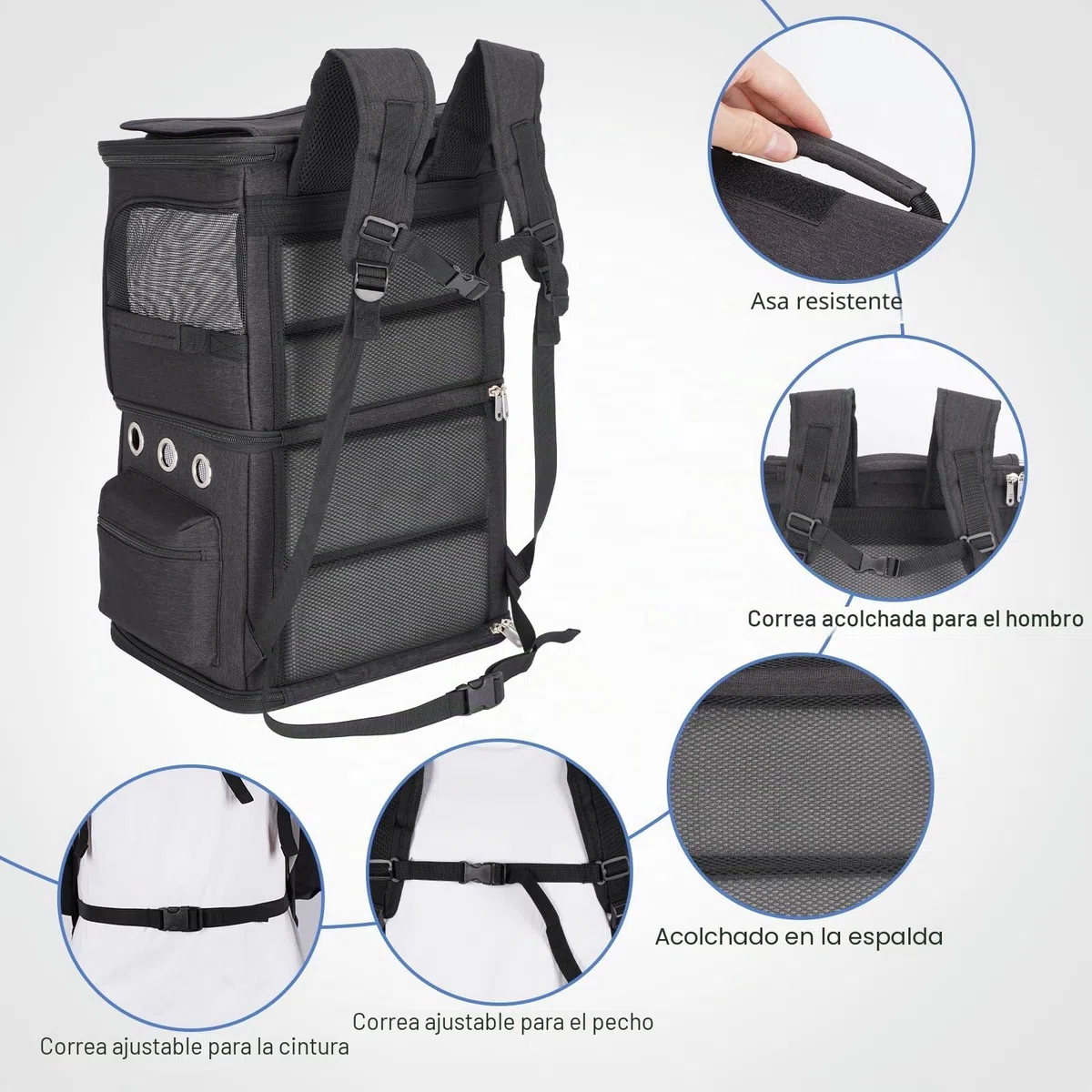 Mochila para 2 Gatos 2 en 1, Doble Compartimento con Divisor Extraíble, Transportín para Gato Grande hasta 12 kg, Portátil para Viajes y Paseos, Negro