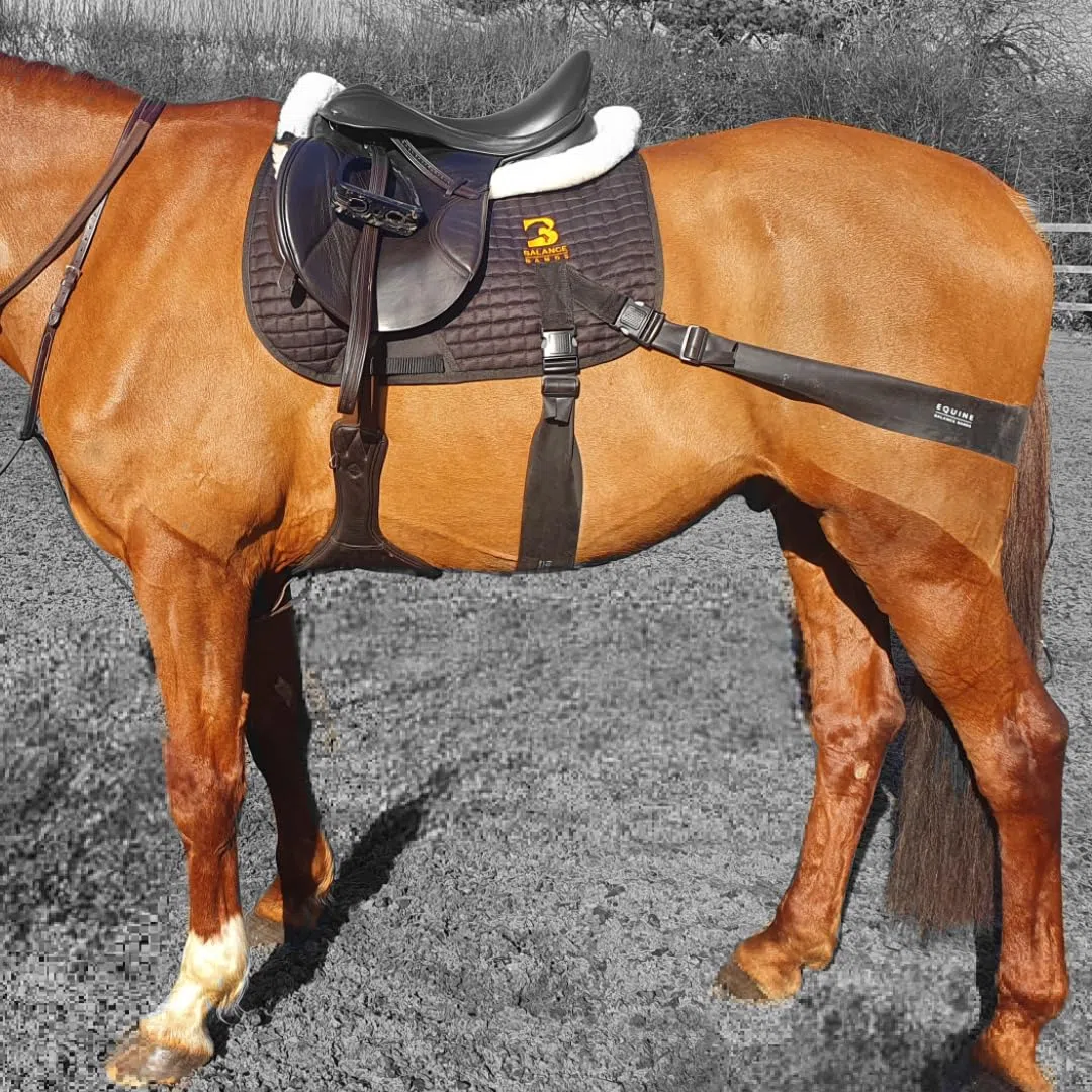 Sistema de banda de acondicionamiento de núcleo equino: almohadilla de sillín y bandas elásticas de resistencia para el entrenamiento de caballos