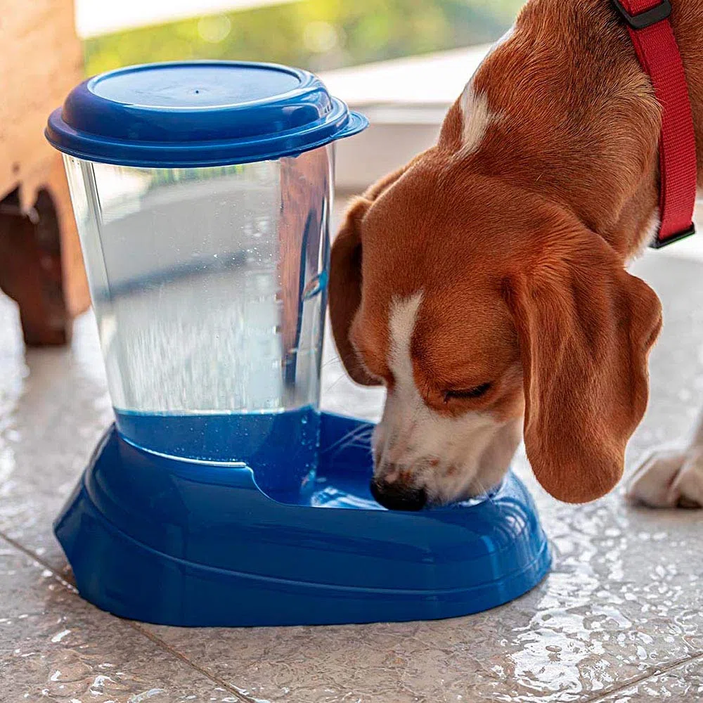 Ferplast Dispensador de Agua para Perro y Gato Nadir Drinker 3 litros para Perro pequeños y medianos, Fondo Antideslizante, 29,2 x 20,2 x h 28,8 cm Blanco