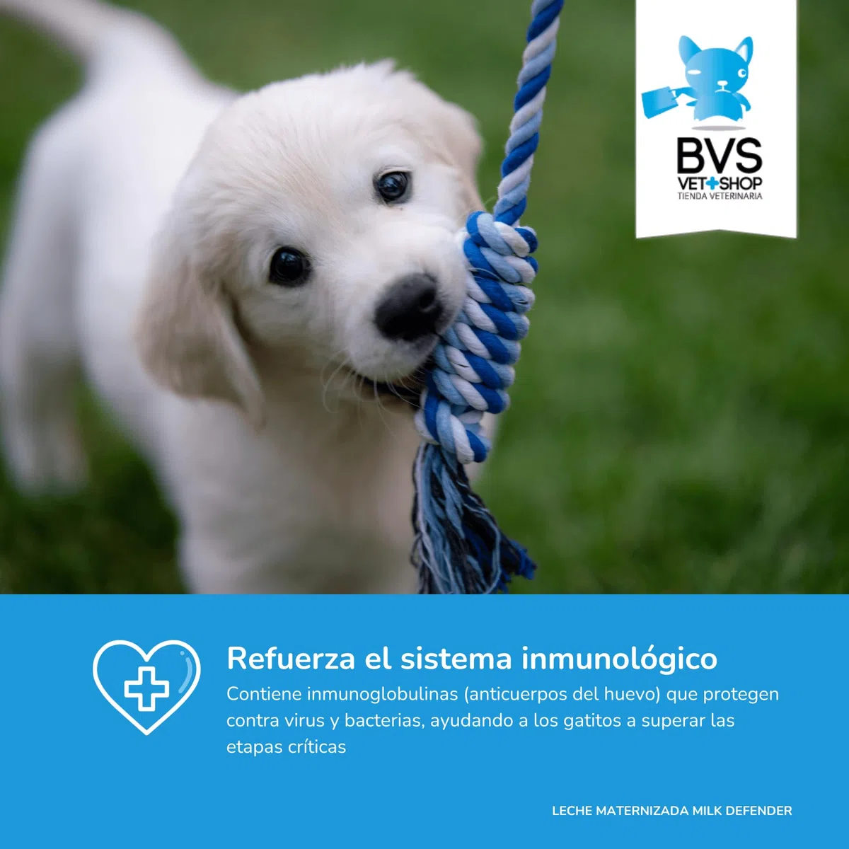BVS Vet Shop | Leche Maternizada para Perros Milk Defender | Alimento Completo de Lactancia para el Cuidado Integral de Perros Cachorros | 1 unid. x 420 gr