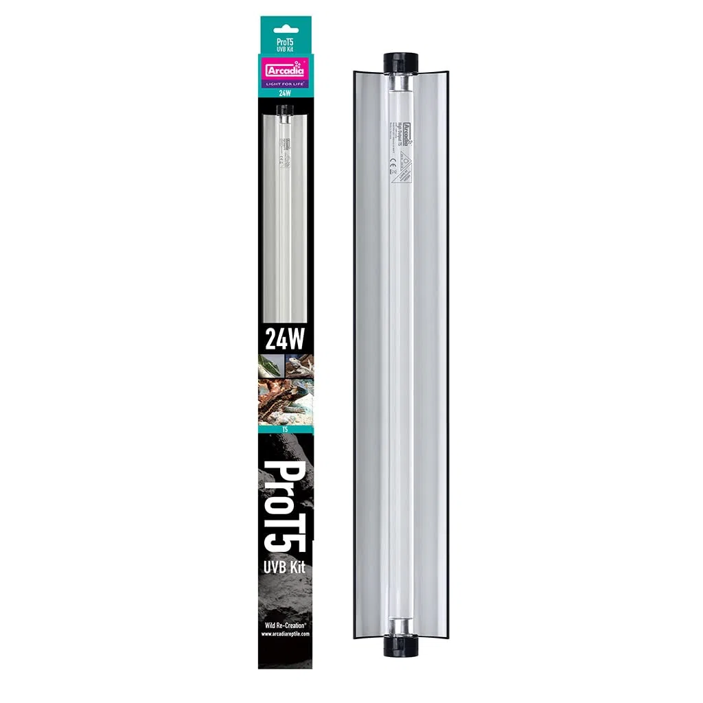 Arcadia 584501 Pro T5 UVB Kit 24W Forest con Tubo de 6% Reptil, Aprox. 57,5 x 6 x 4,5 cm