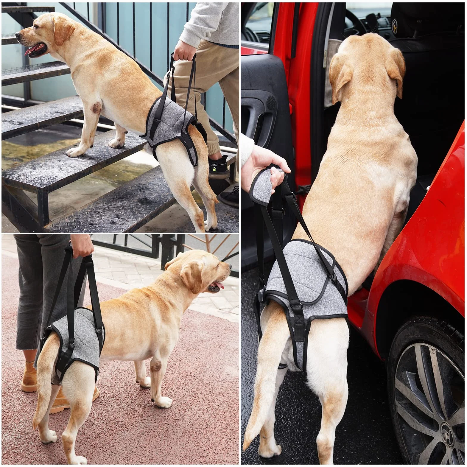 Dotoner Arnés de Levantamiento de Perros, arnés de Apoyo para Patas traseras, Correa de Apoyo Suave para Perros lesionados discapacitados, pequeños, medianos y Grandes