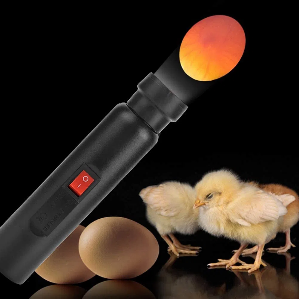 Mire-Huevos LED Lámpara Luz Fría de Alta Intensidad Detector de Vigilancia Incubadora de Huevos con 220V Enchufe de la UE, #011