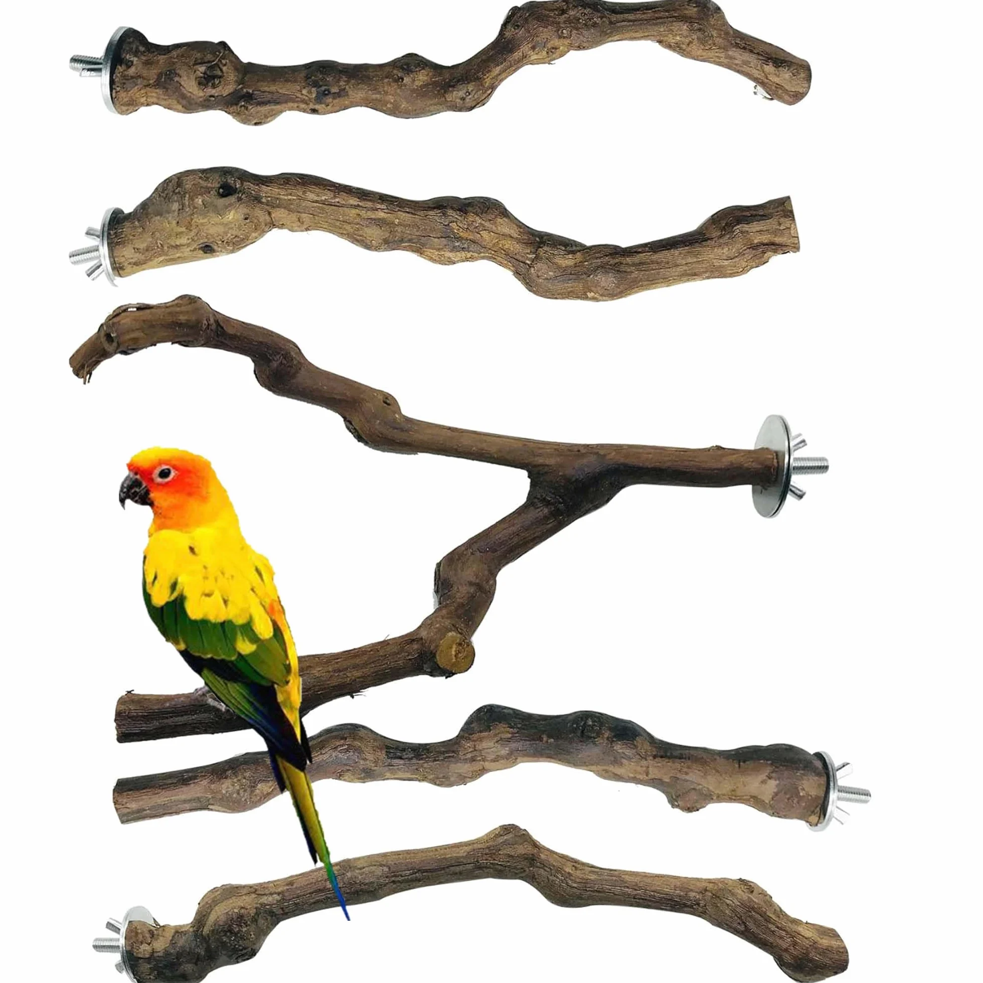 5 Pz Perca de Pájaro, Pájaro de Madera Soporte de Perca, Palo de UVA Salvaje Natural, Juguetes para Pajaros Juguetes para Masticar Loros para Masticar Loros, Periquitos, Cacatúas