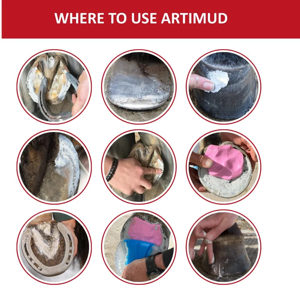 Artimud - Masilla activa para tordo de pezuña, 300 g, limpia y protege grietas y hendiduras, embalaje debajo del zapato/almohadilla, relleno de línea blanca, elimina la putrefacción, recomendado por
