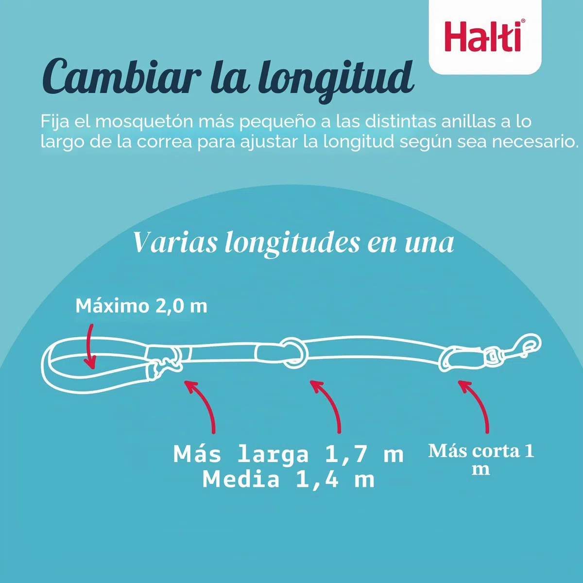 HALTI Headcollar Talla 3, Negro y Correa de Entrenamiento HALTI tamaño Grande, Paquete Combinado Negro - Evita Que tu Perro Tire de la Correa. Ajustable, Ligero con Banda para la Nariz Acolchada.