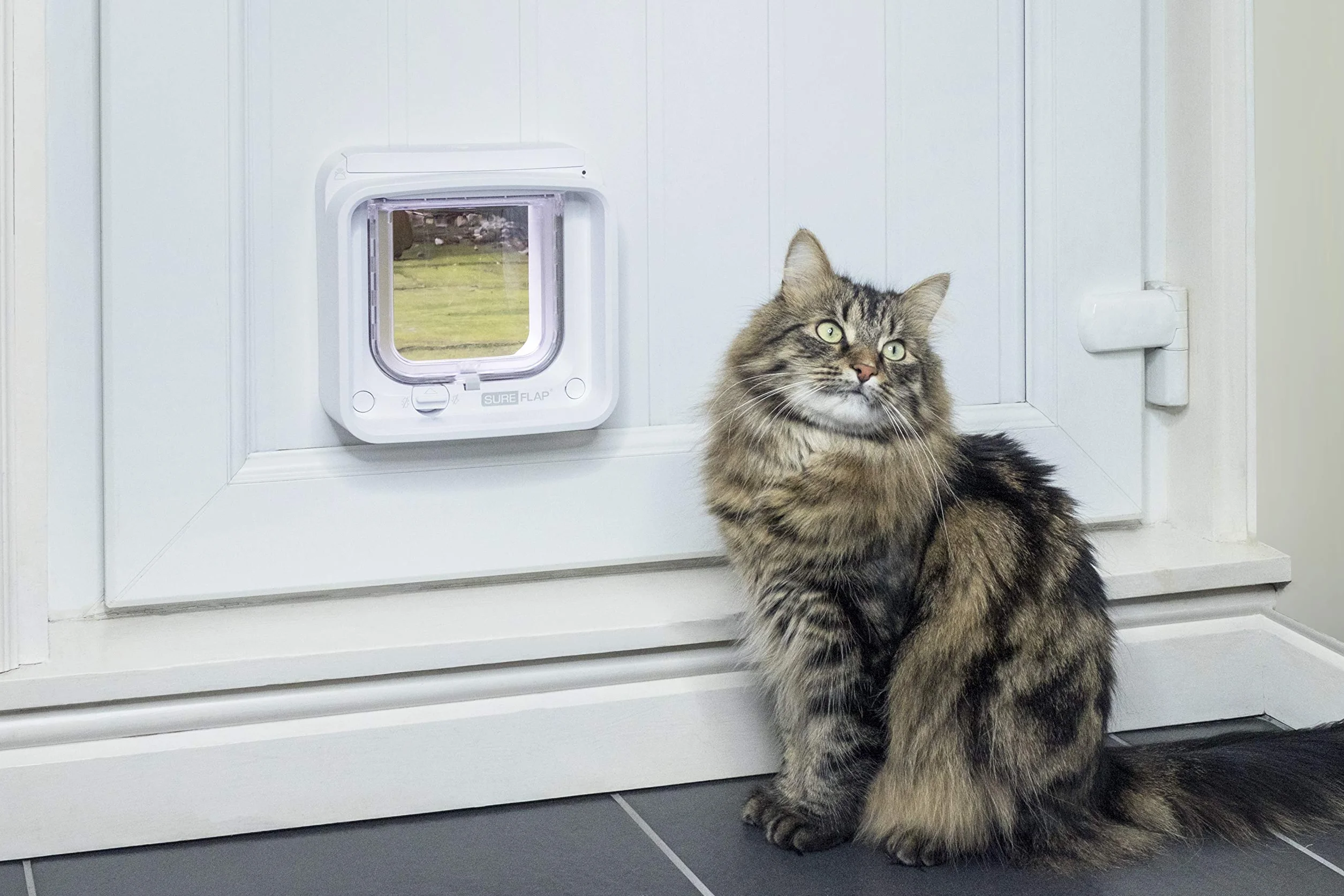 Gatera SureFlap Connect Sure Petcare con Lector de Microchip; tecnología DualScan; con aplicación móvil; para Puertas, Ventanas y Paredes; Blanco; hub Conector; Necesita 4 Pilas AA (no Incluidas).
