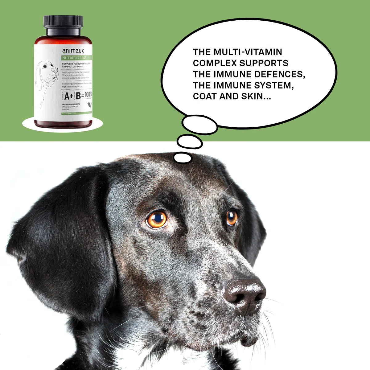 Animales nutrientes 365 – 60 Comprimidos masticables – Vitaminas para Perros, Apoyo al metabolismo, Sistema inmunológico y Peeling, con Complejo de vitaminas B, Omega 3, Ginseng y Más