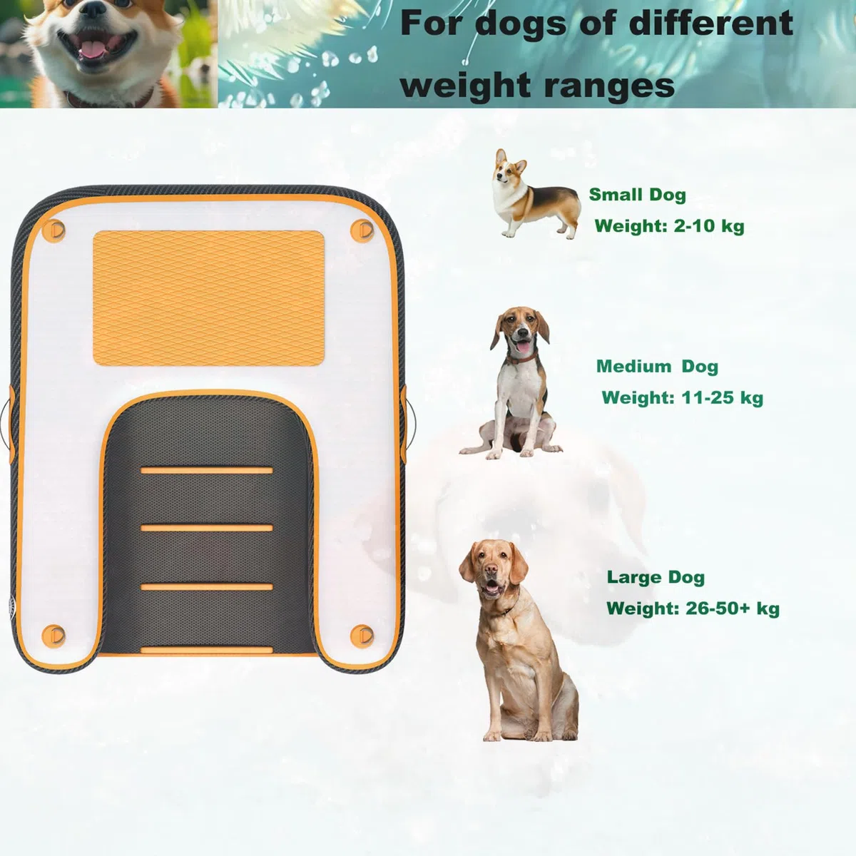 Rampa Hinchable para Perros con Escalera Flotante EVA Antideslizante para Piscina/Bote/Lago, 100 kg, Bomba incluida, portátil