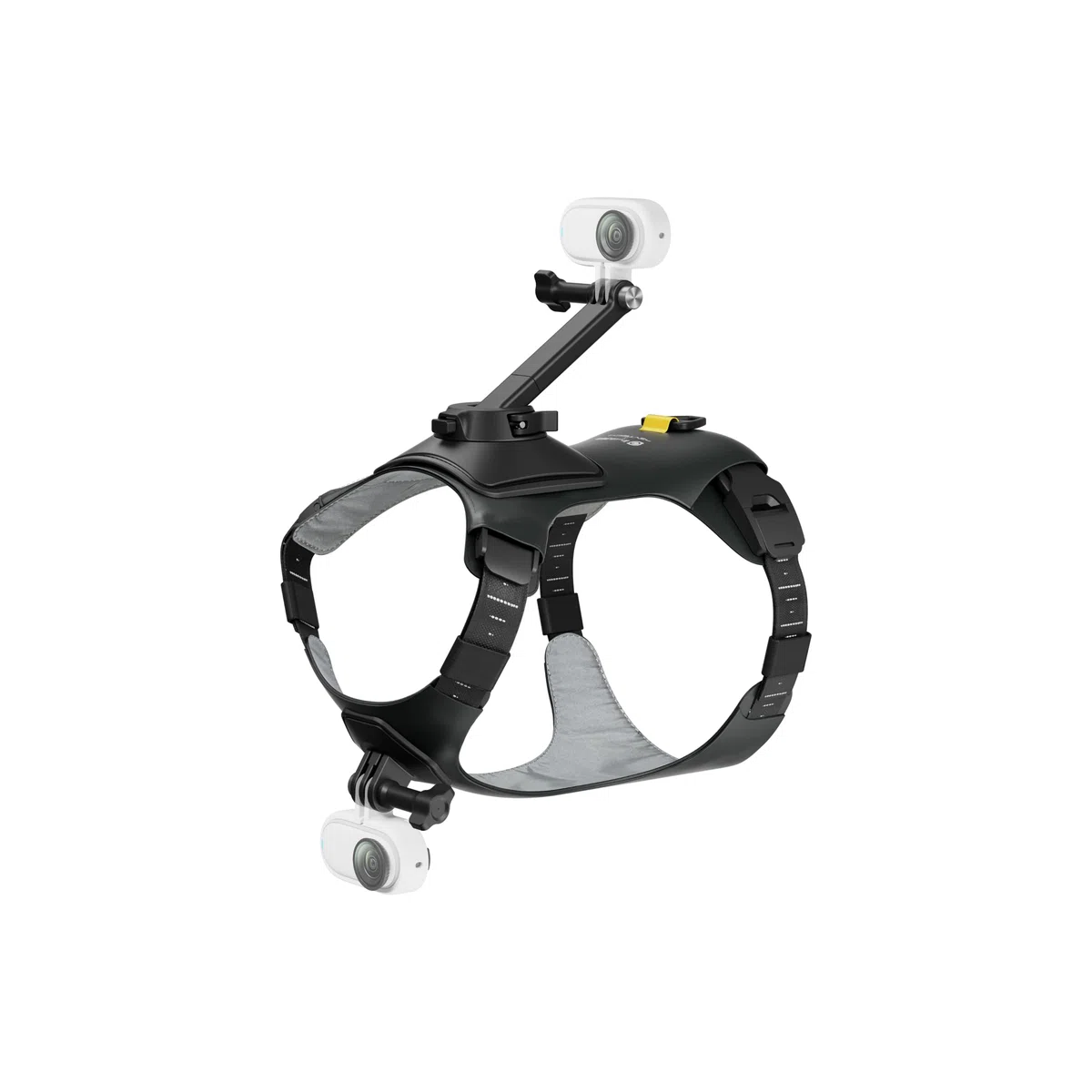 Insta360 GO 3/GO 3S - Soporte de arnés para mascotas, talla M (GO Ultra)