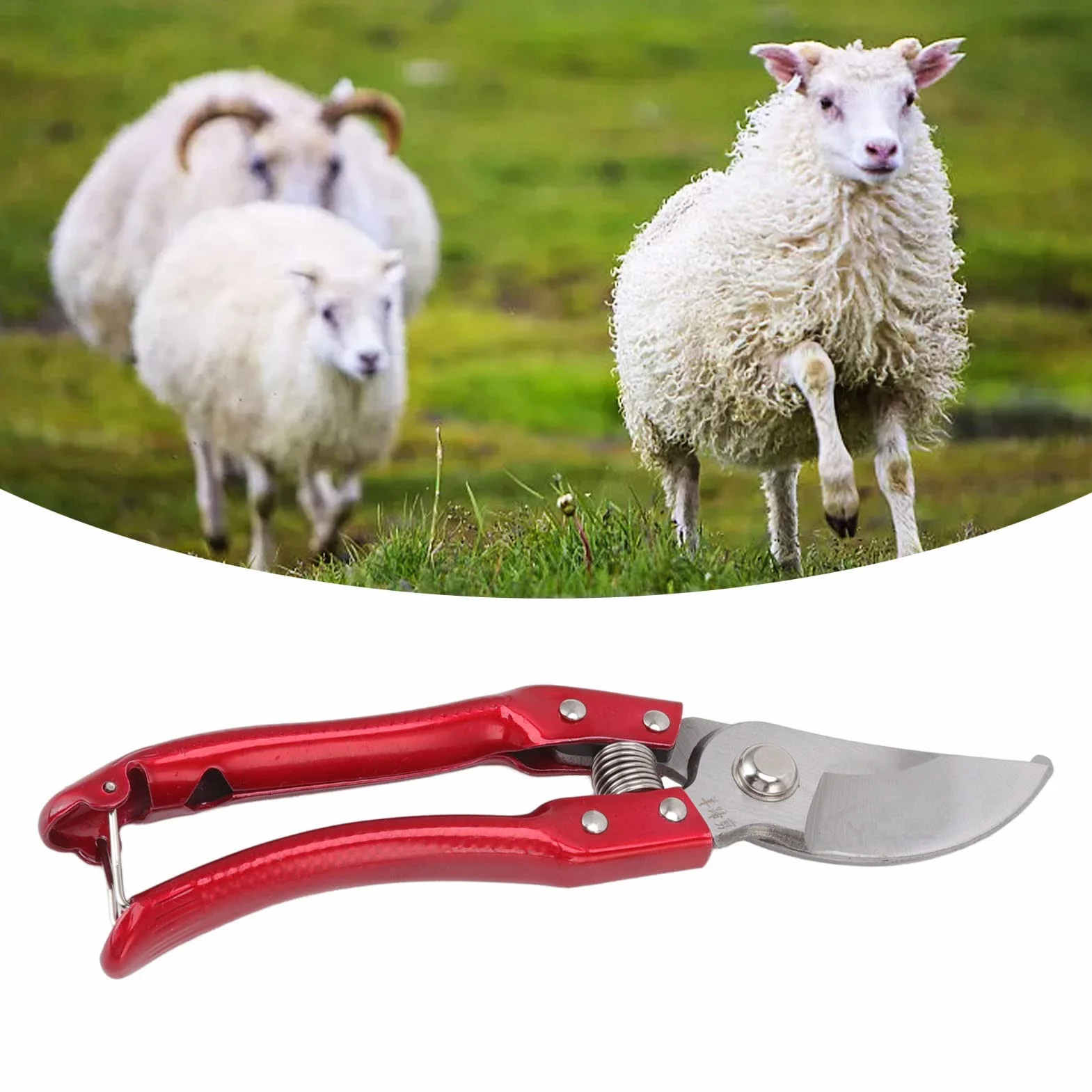 Tijeras para Recortar PezuñAs, Recortadoras de PezuñAs de Cabra, Alicates de Tijera para Trotones de Cerdo, Herramienta de ReparacióN de Recorte de uñAs de Dedos de Animales para Cabras, Ovejas y