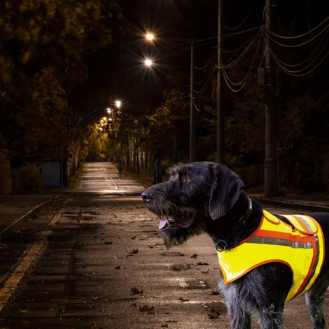 Chaleco reflectante de seguridad para perros de caza a la deriva y paseos en la oscuridad, color amarillo y naranja con rayas reflectantes (XL)