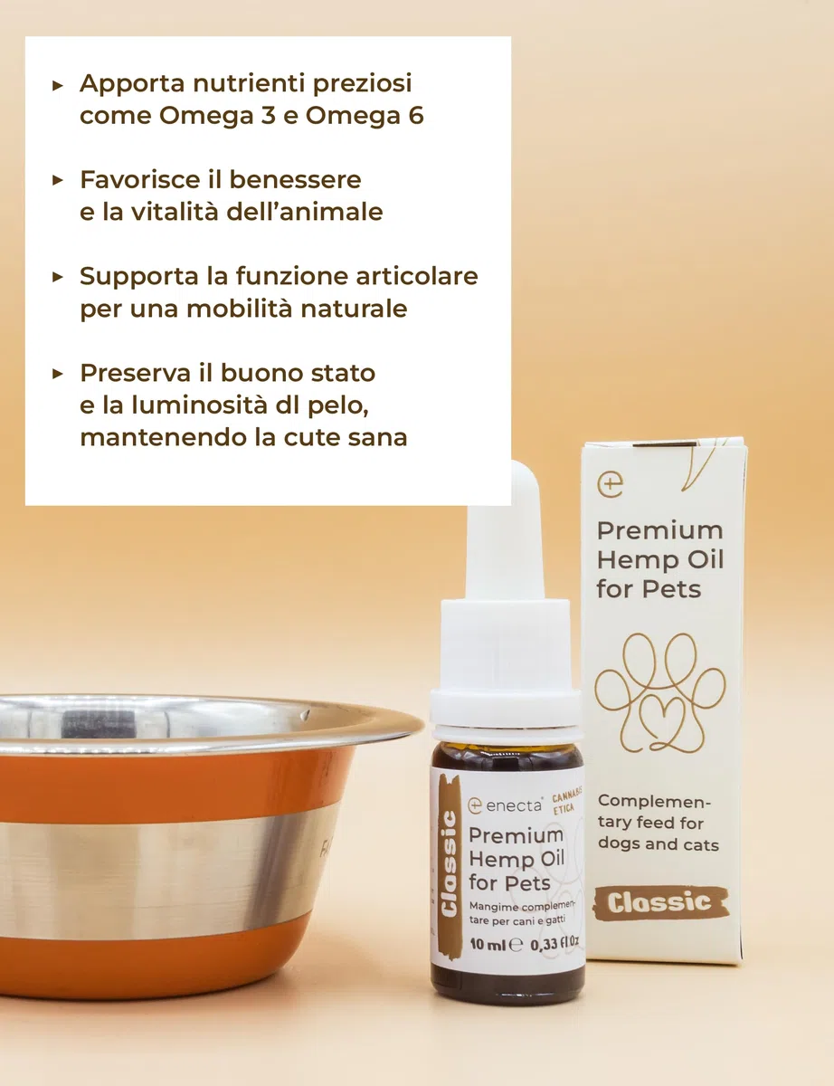 Enecta Pet Oil - Aceite de semillas de cáñamo para perros y gatos - Puro prensado en frío - Omega 3 y 6 - Bienestar diario - Fórmula nutracéutica - Bote de 10 ml