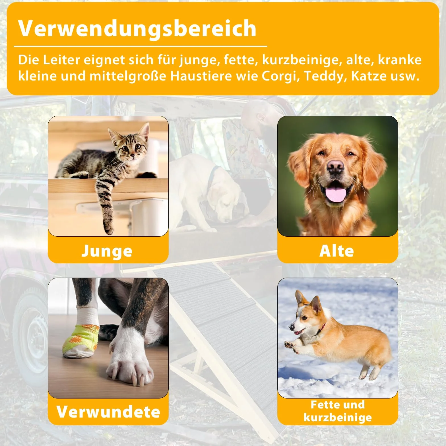 FIVMEN Rampa para perros de 60 cm, plegable, altura ajustable, escalera para mascotas con alfombrilla antideslizante, escaleras para perros para cama y sofá, 100 x 40 x 60 cm