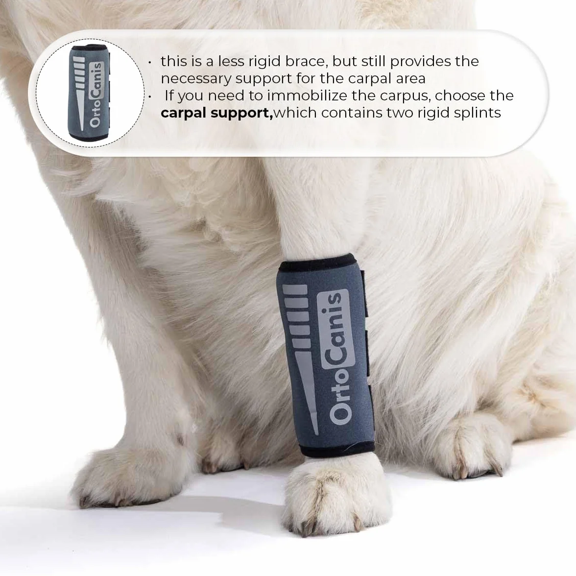 Ortocanis - Muñequera - Protector de Patas para Perro - Artrosis, Lesiones en Ligamentos, Tendones o Perros de Agility - Fabricado en Neopreno ARD - Talla M 14-16 cm