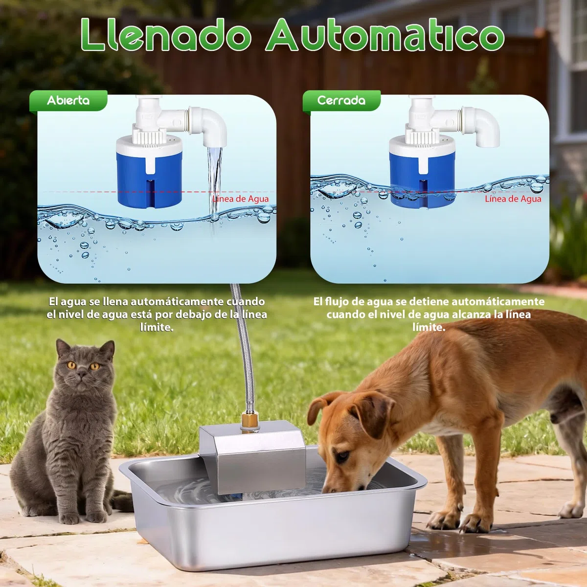 11L Bebedero Perro Acero Inoxidable,Bebederos Automaticos para can,Abrevadero con Soporte con VáLvula de Flotador,Bebedero Perro Automatico Exterior,11 Litros Bebedouro Cachorro Pequeño