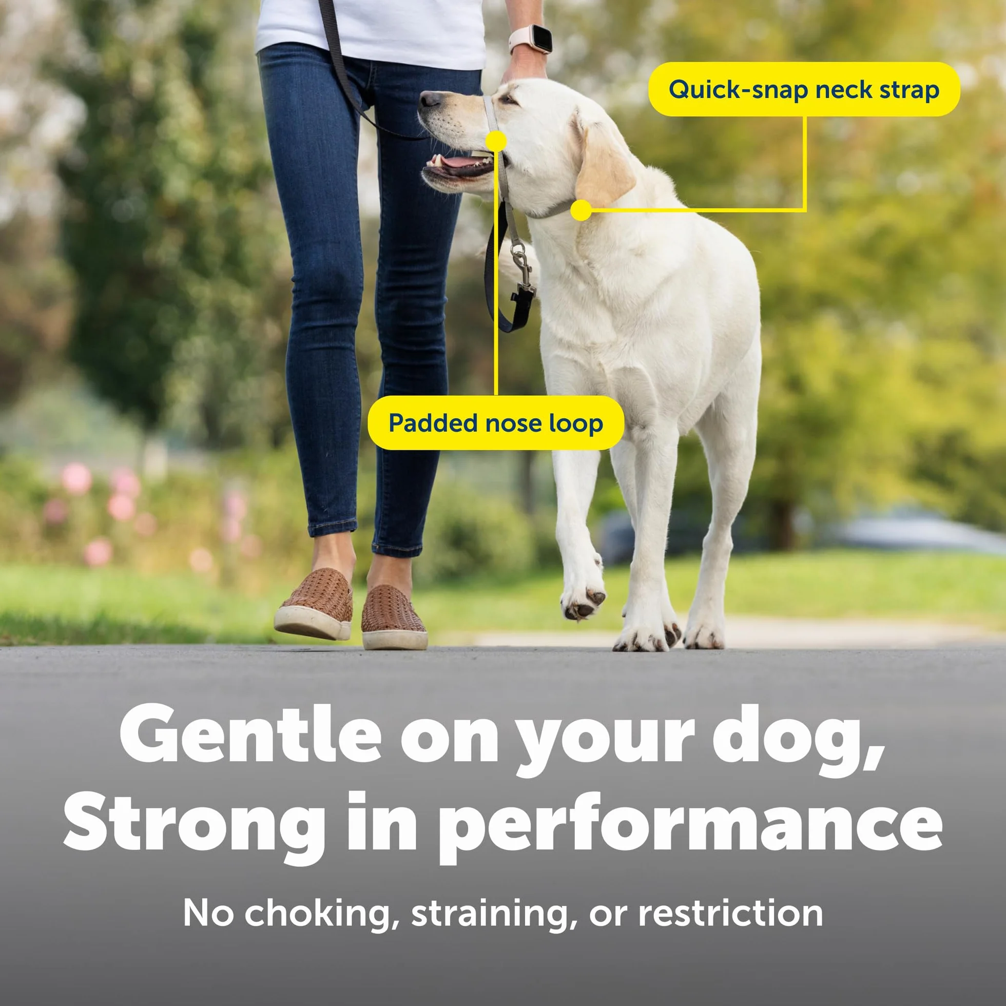 PetSafe Collar de Cabeza DVD de Entrenamiento (Idioma español no garantizado)