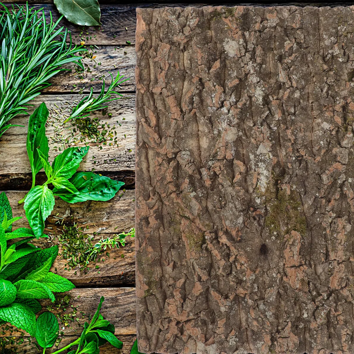 Corteza de Corcho Natural Textura Dura Segura para Reptiles Fondo Decorativo y Pared de Plantas para Terrarios en Acuarios de Reptiles