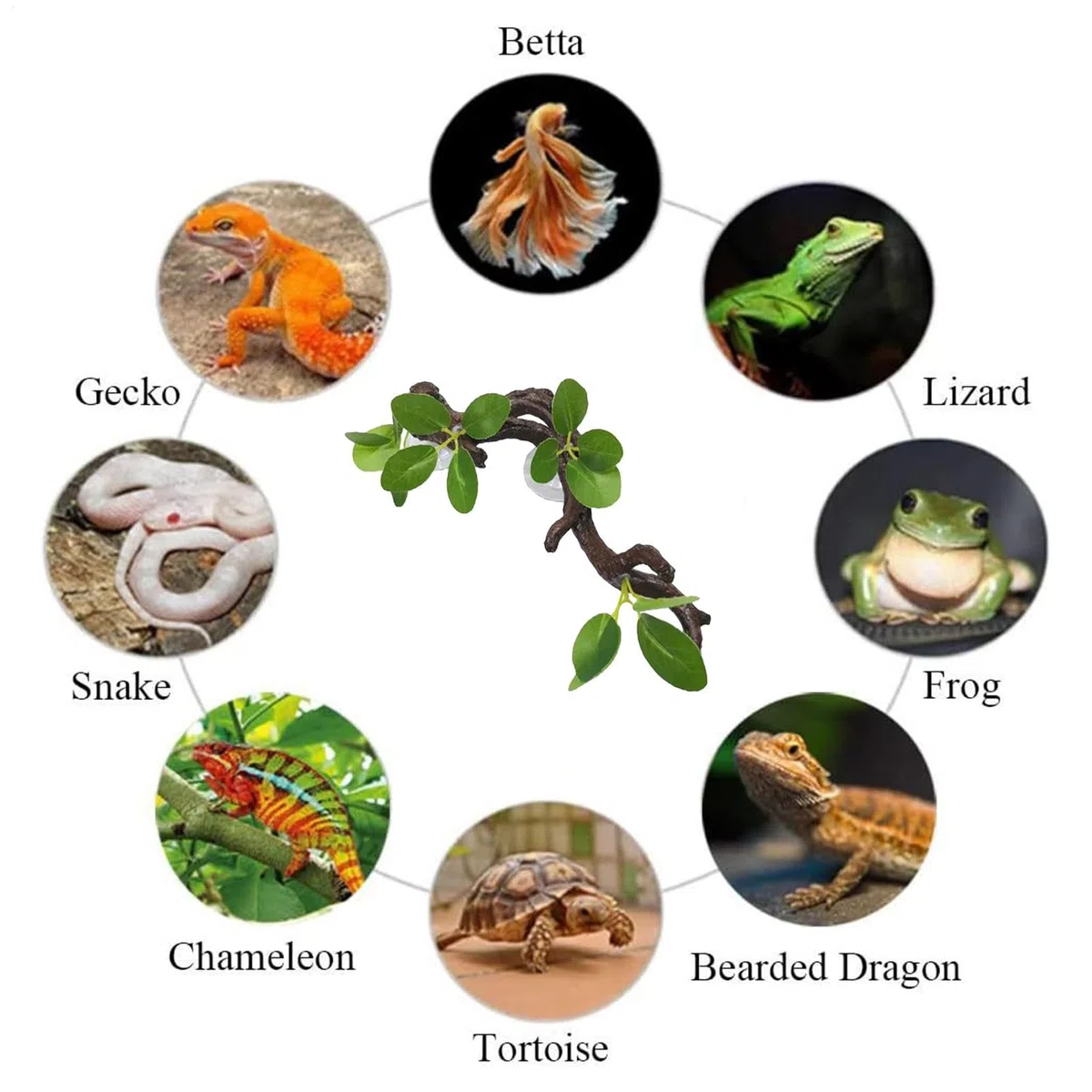 Árbol de Reptiles, Tronco de Reptiles con Ventosa, decoración de Jaula de camaleón, decoración de terrario de Serpiente, Accesorios de Tanque de para Dragones barbudos