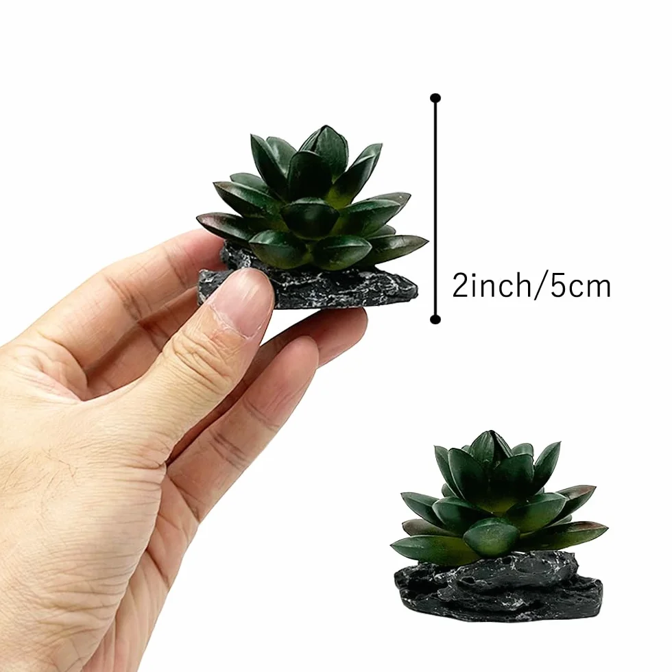 Plantas artificiales para reptiles, decoración de terrario suculentas, desierto, bosques, plantas, lagarto, dragón barbudo, camaleón, geco, serpiente, anfibio, hábitat, escondite, tortuga, accesorios