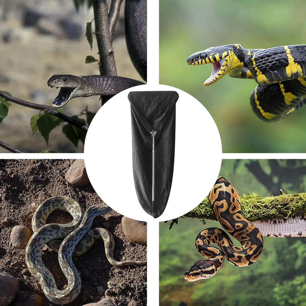 Herramienta para agarrar serpientes, Agarrador para atrapar serpientes | de serpiente extensible con bolsa,Atrapador de reptiles resistente para serpiente de cascabel, herramienta de manejo de largo a