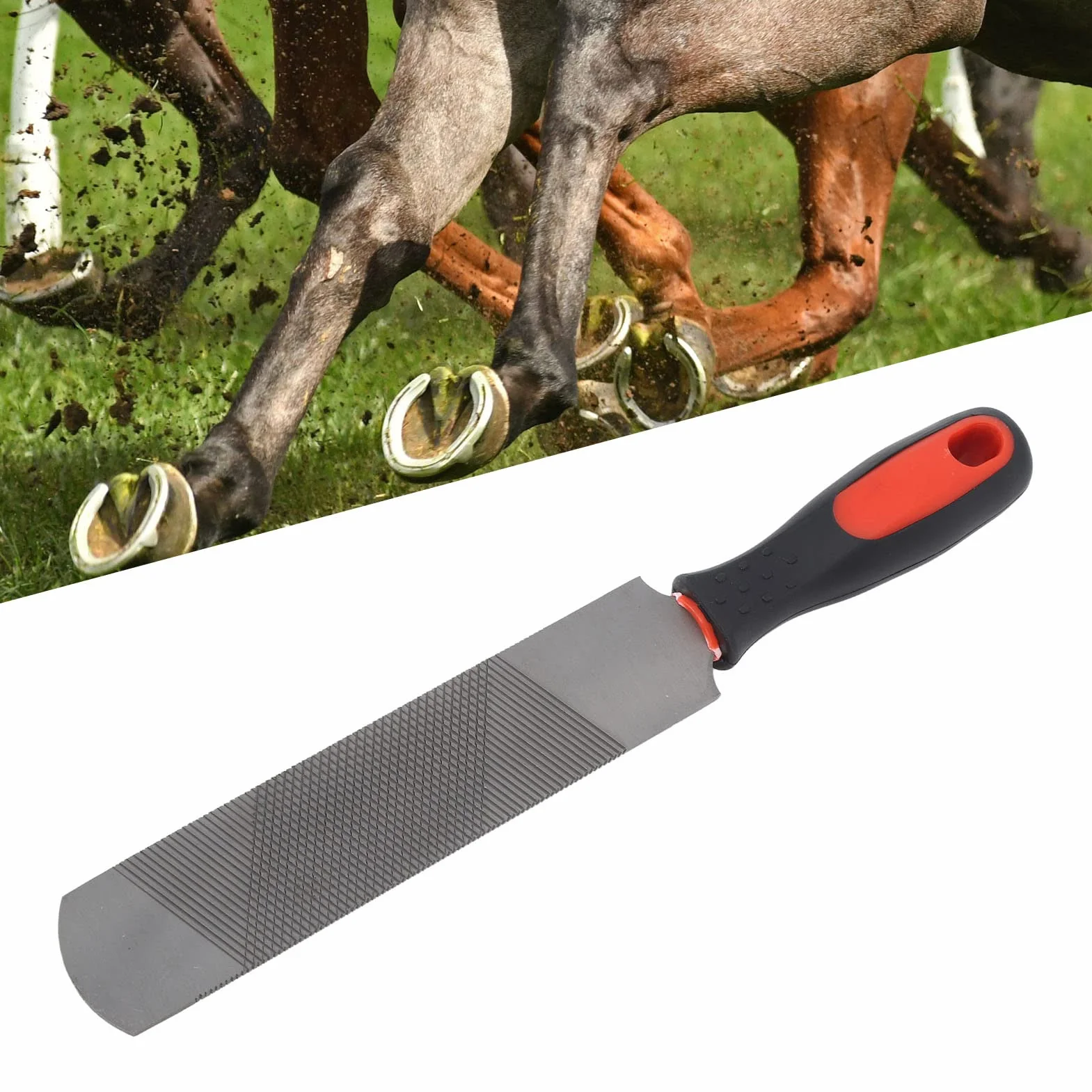 Herramienta Recortar Pezu?as 8 Pulgadas Acero Alcarbon Lima Herradura Ergonomica Profesional para Caballo Herrador