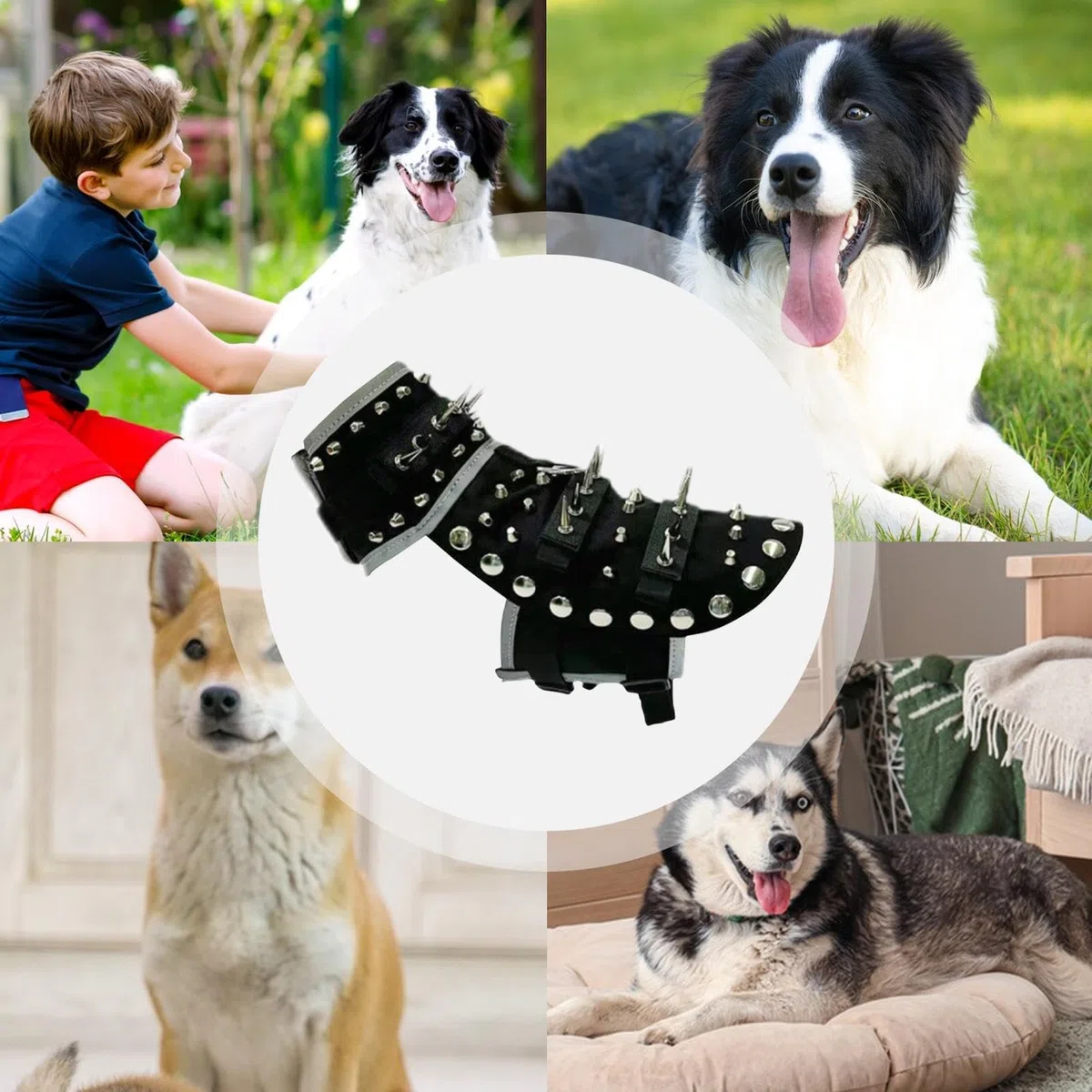 Dog Spike Glet – Chaleco impermeable para mascotas para máxima protección | Chaleco reflectante ajustable para perros anti-coyote para uso en caminatas