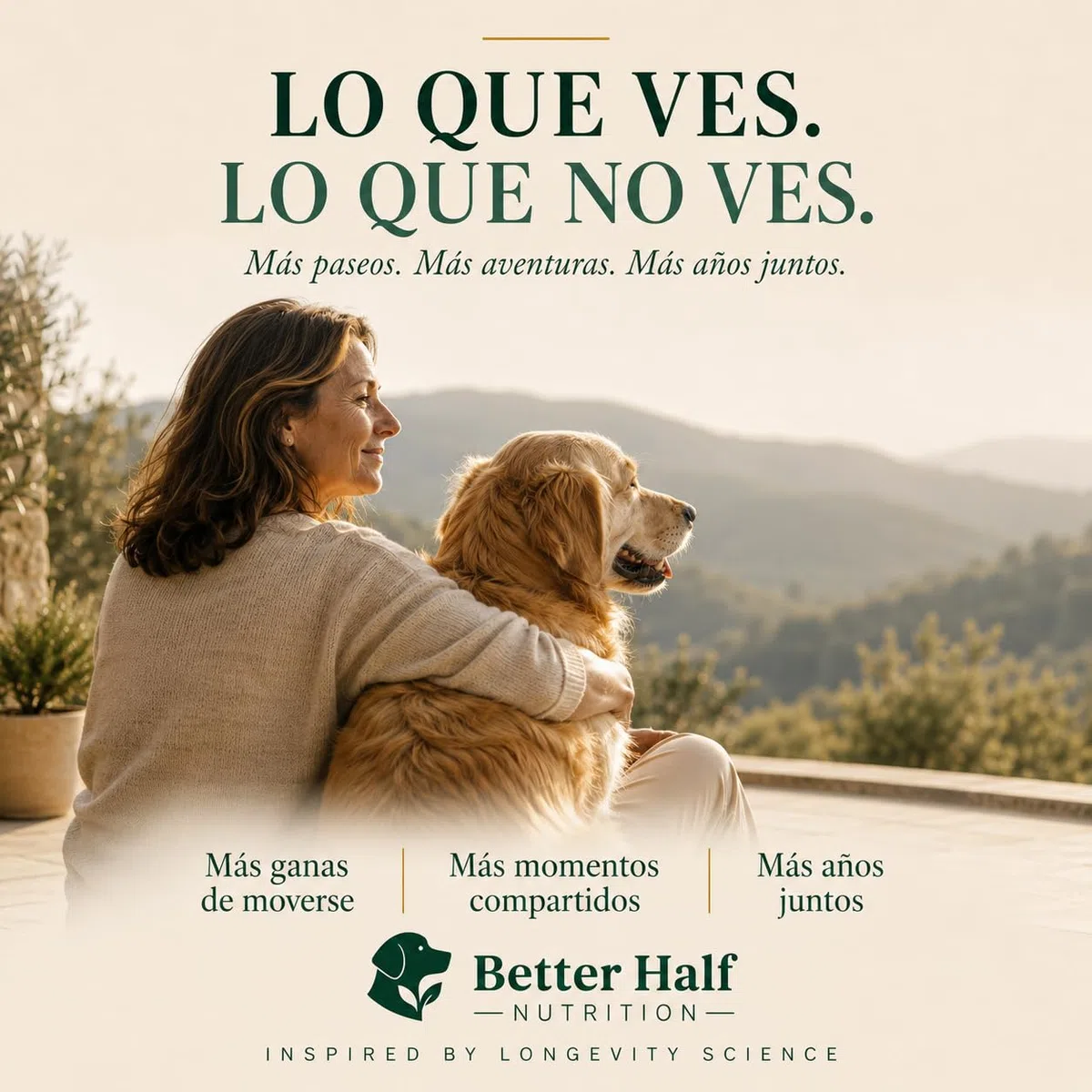 Condroprotectores Perros Masticable | Glucosamina, Condroitina, MSM y Colágeno | 120 Snacks Blandos para Articulaciones y Cadera | Move by Better Half Nutrition | Hecho en Europa | GMP+